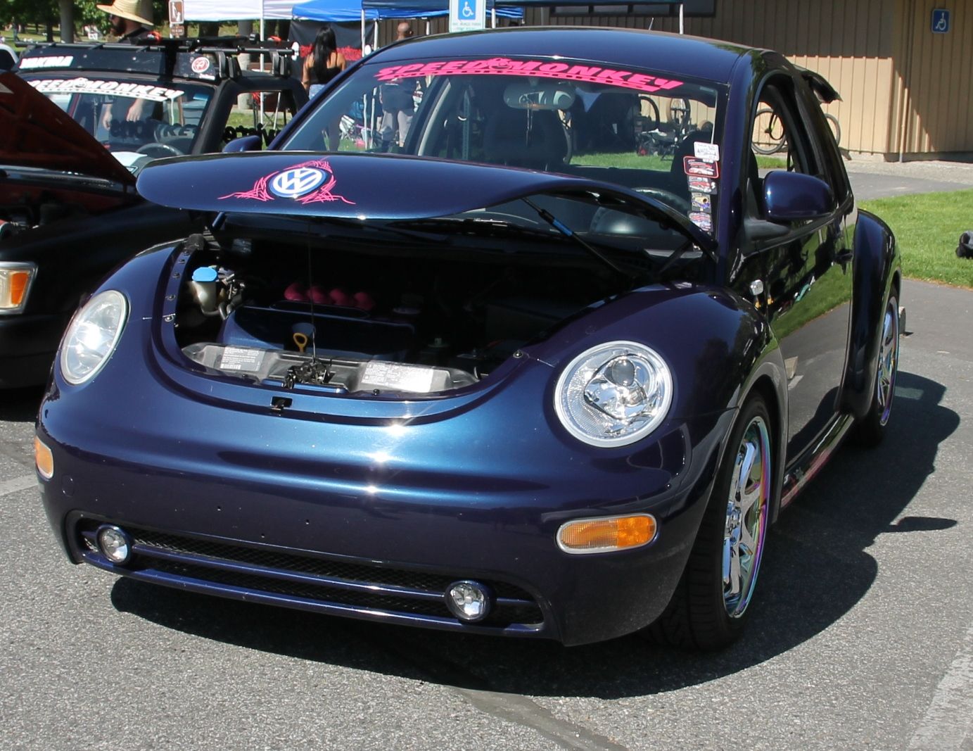 Full View