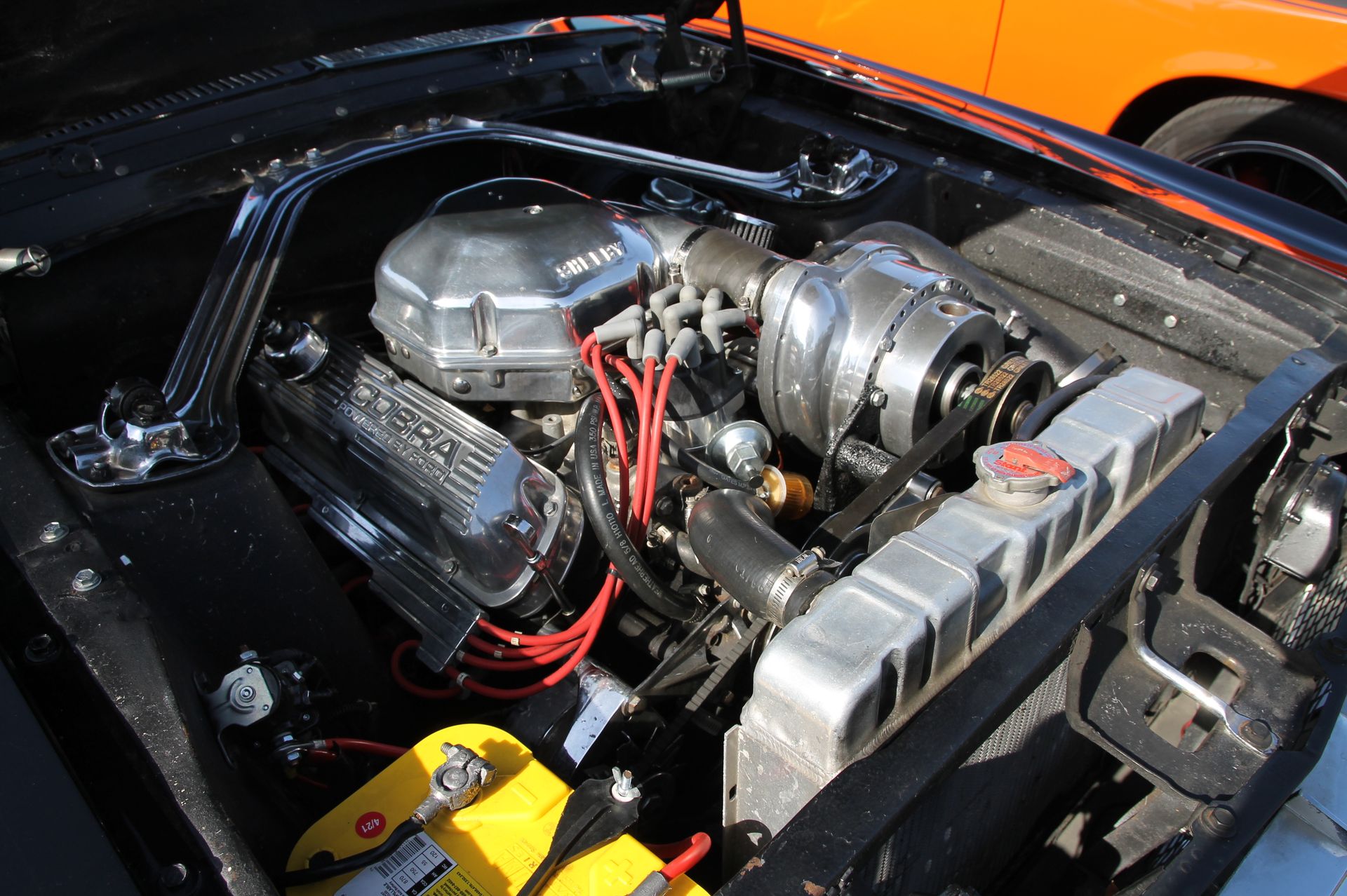 Full View