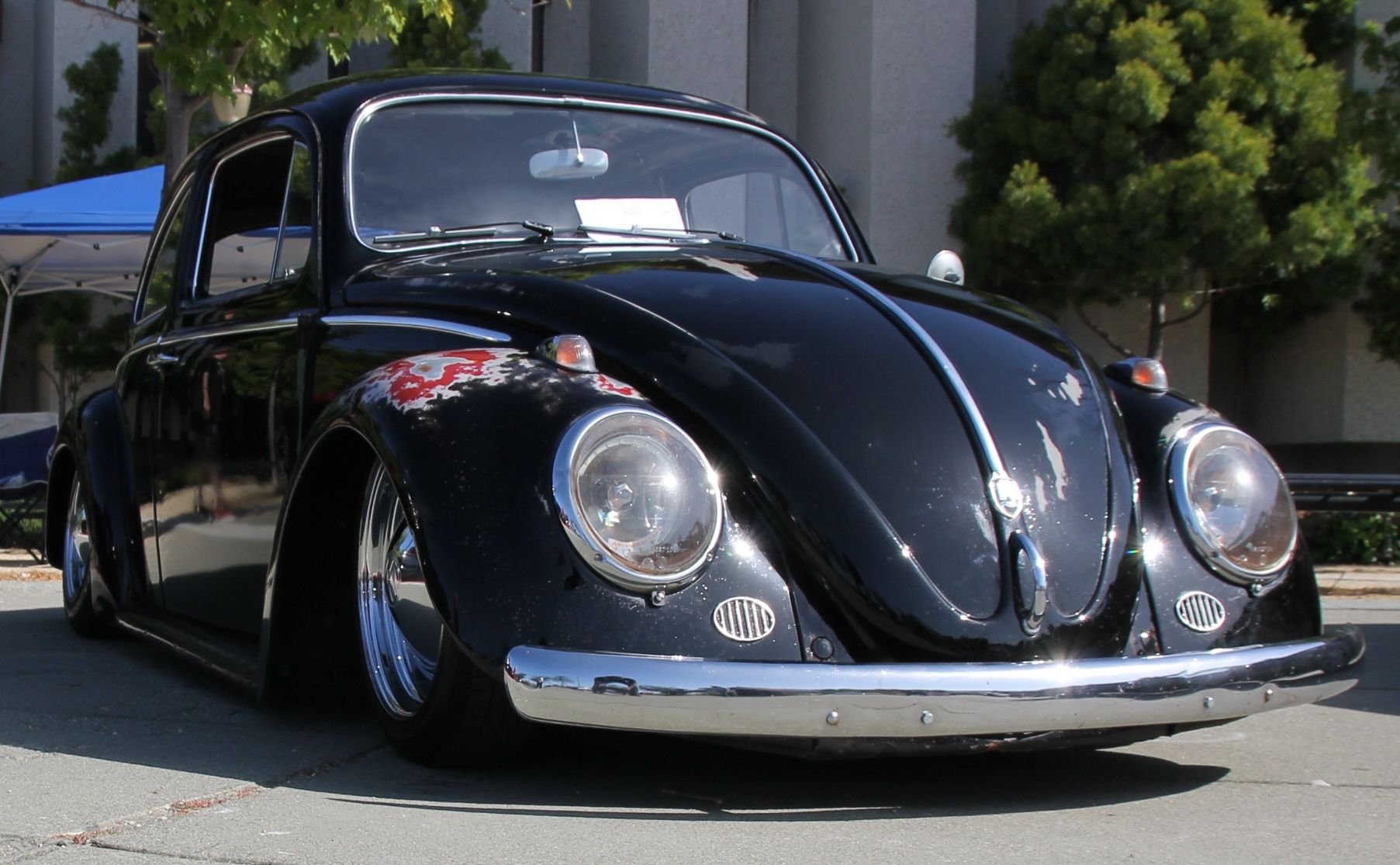 Full View