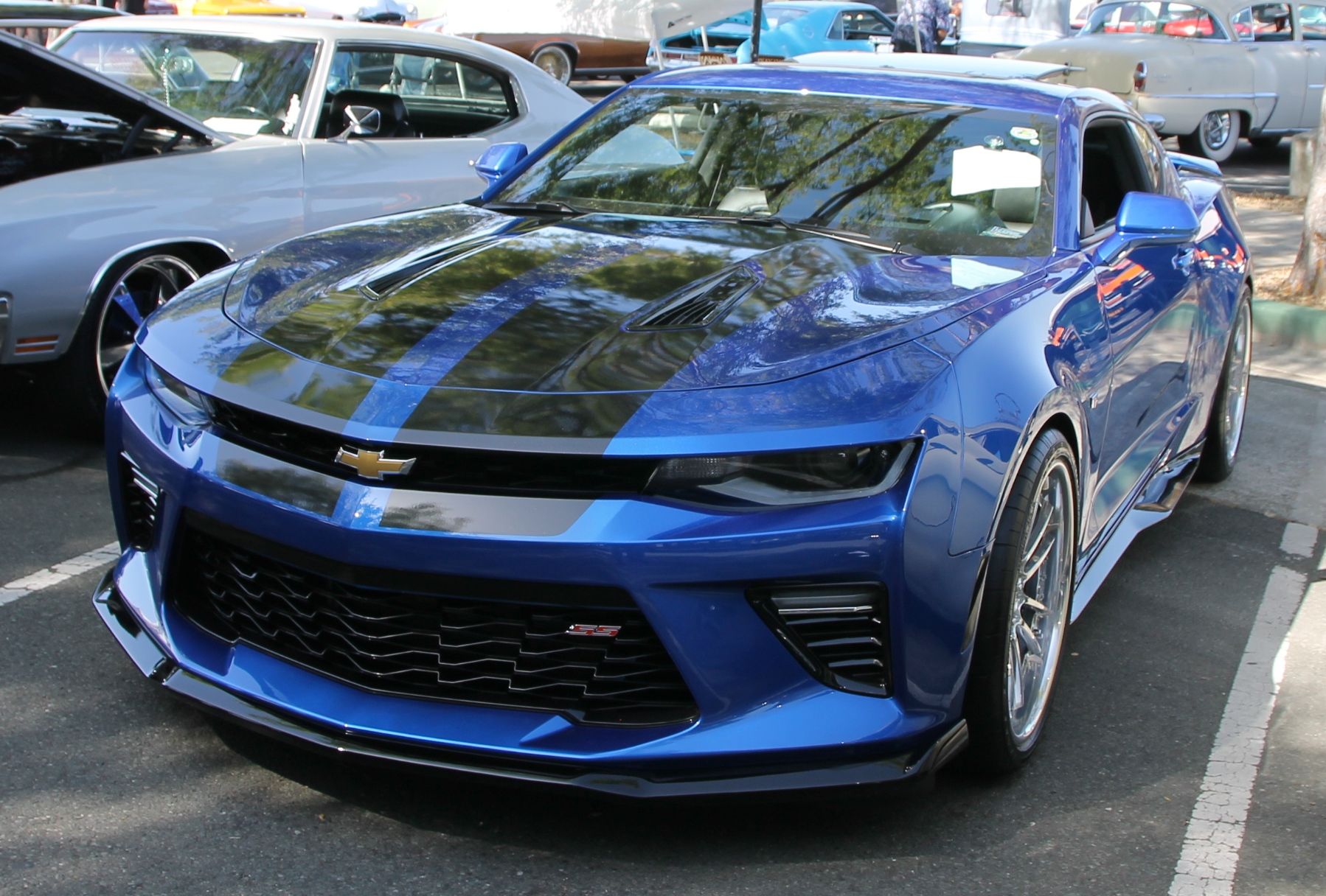 Full View