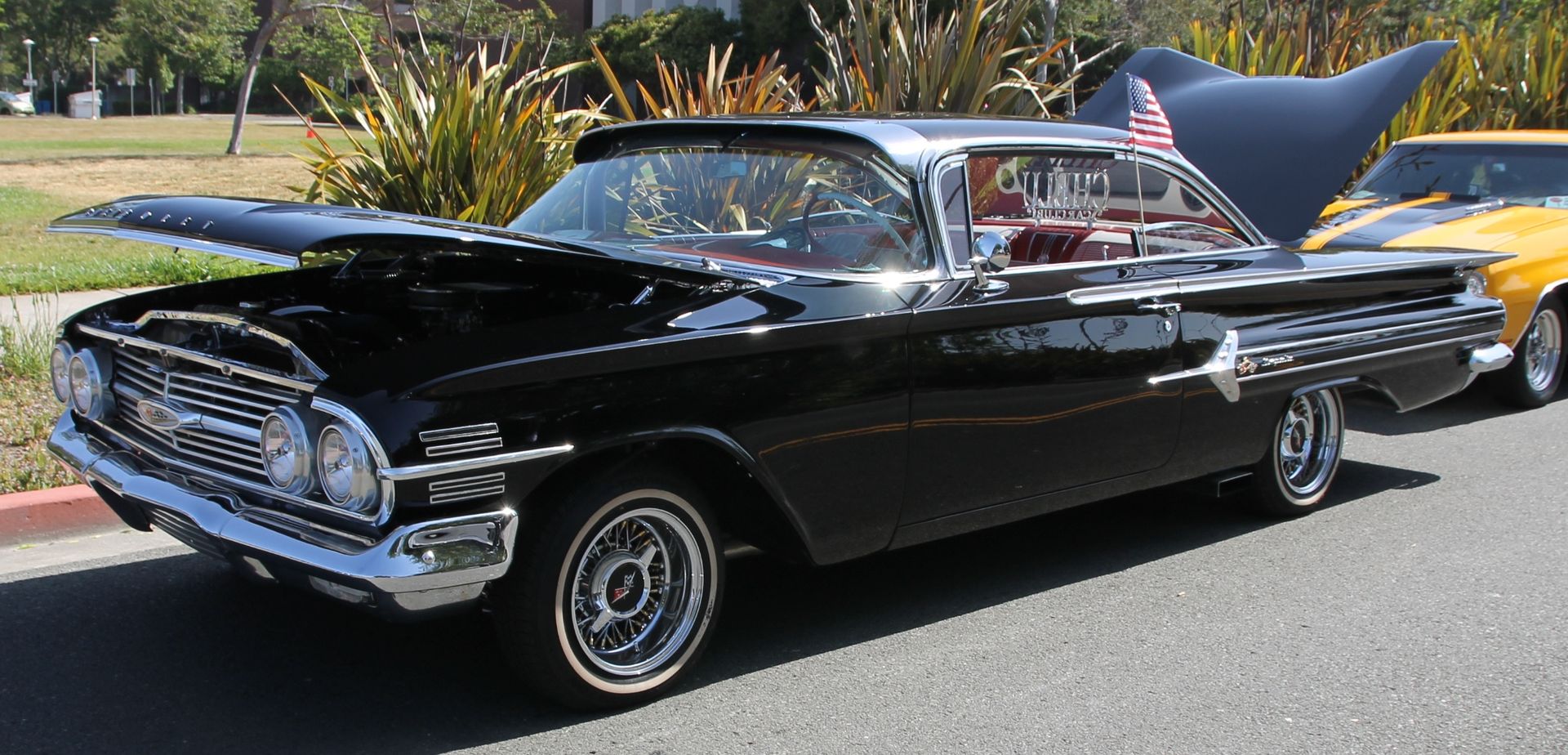Full View