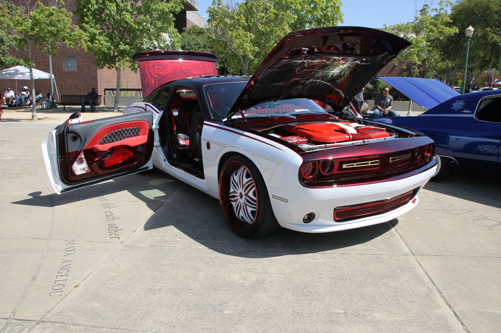 Full View