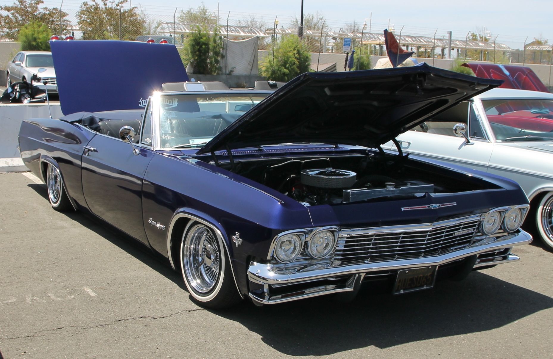 Full View