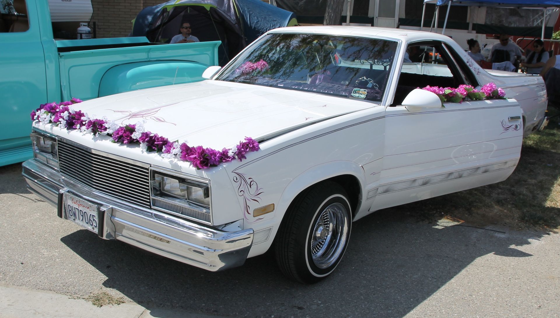 Full View