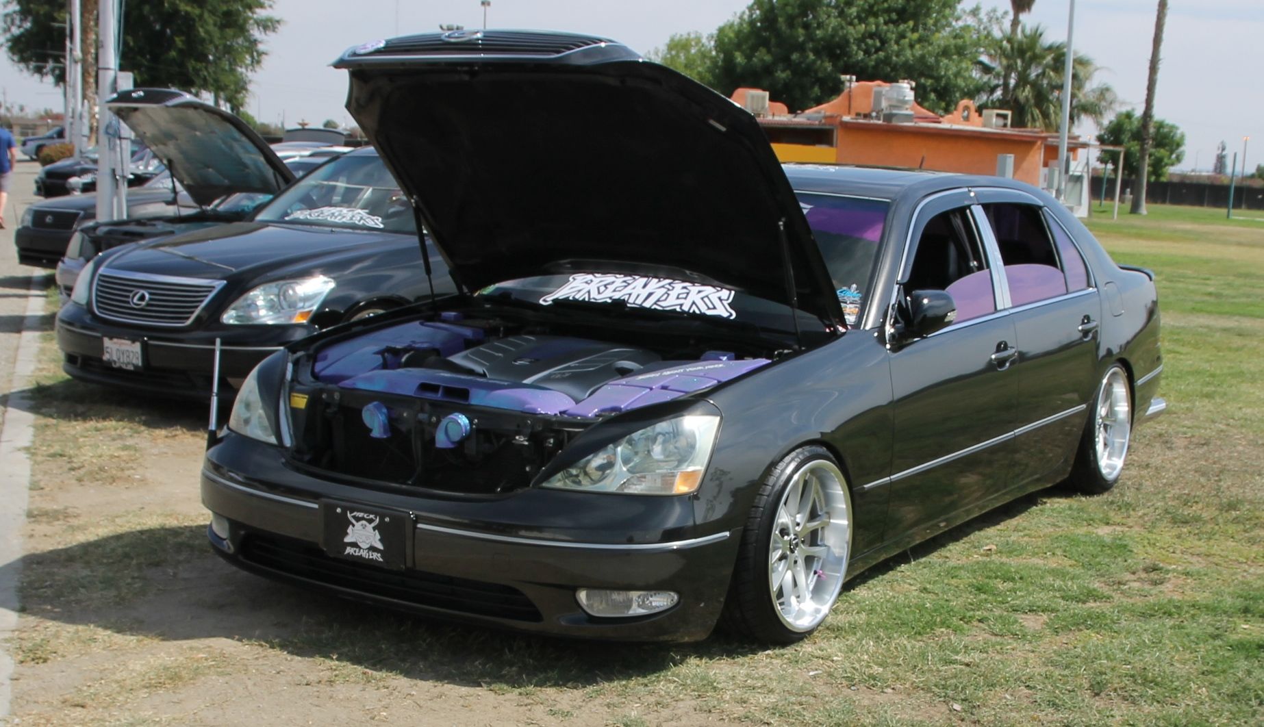 Full View
