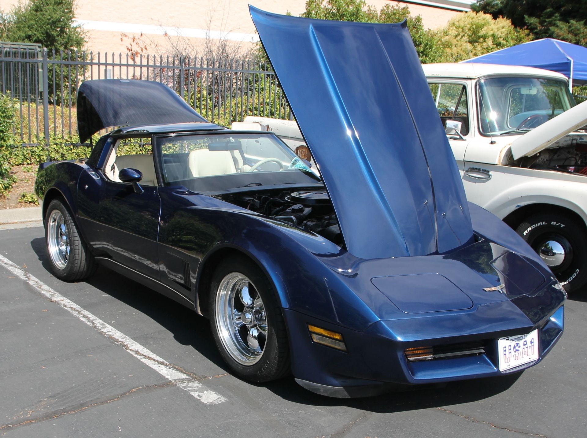 Full View