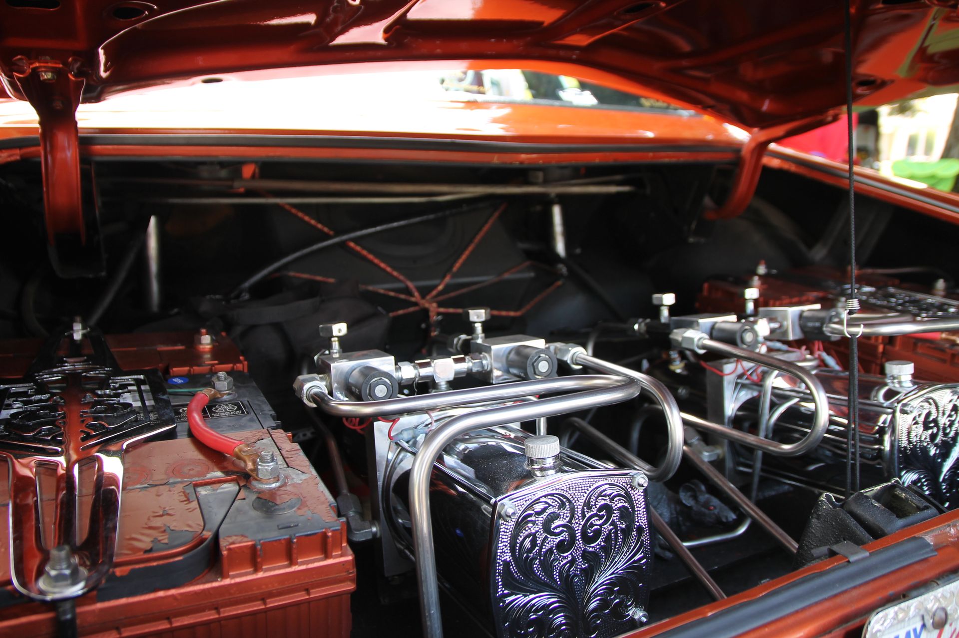 Full View