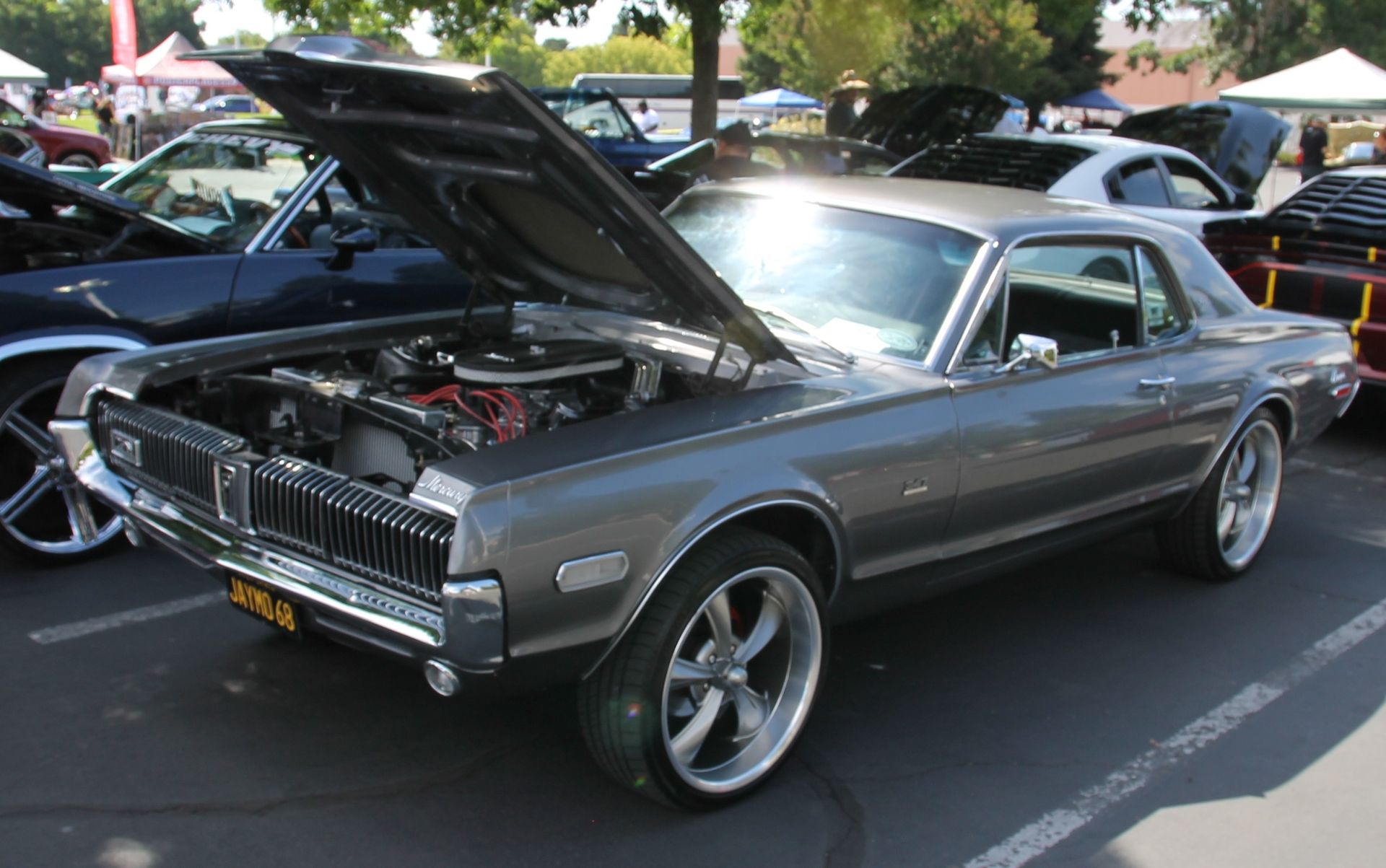 Full View
