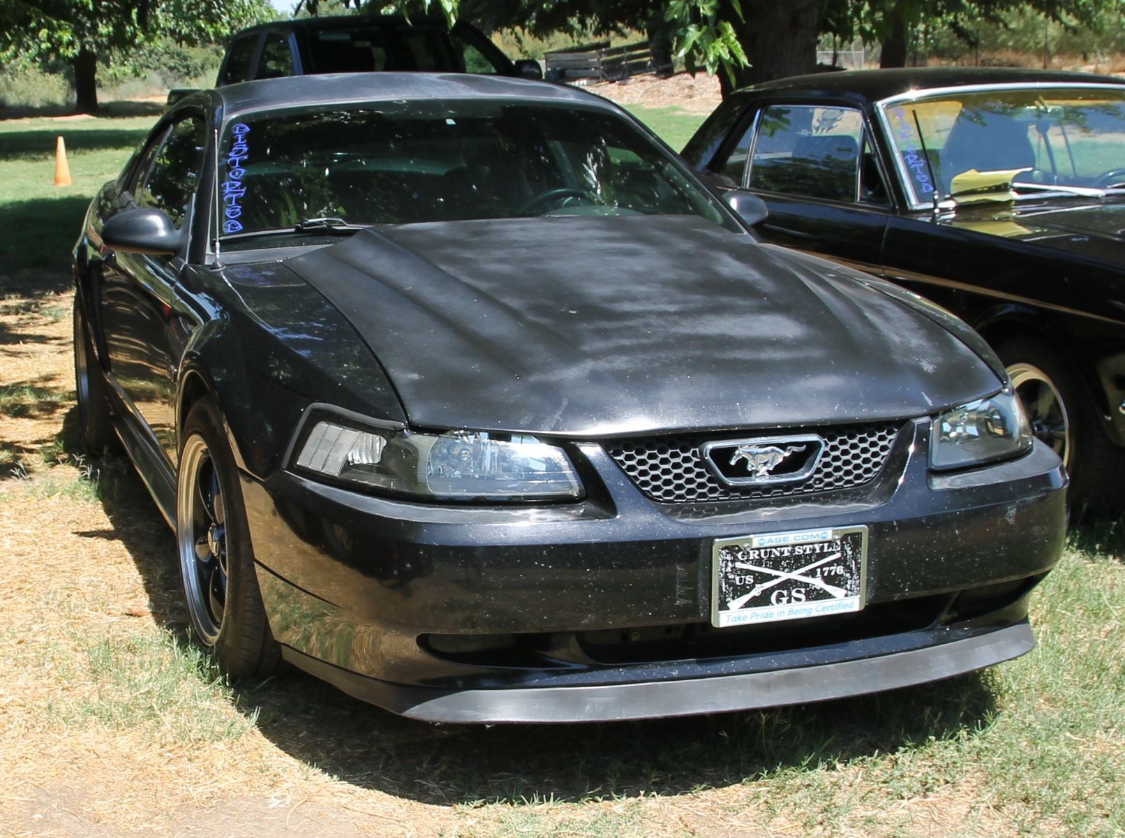 Full View