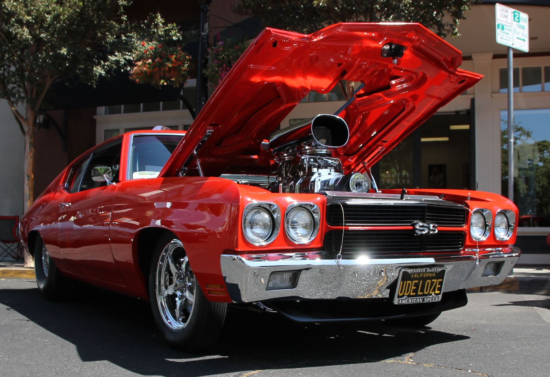 Full View