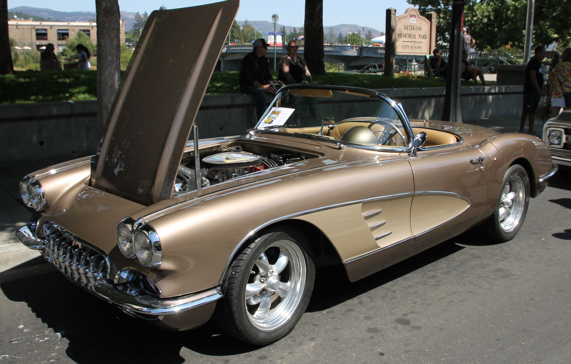 Full View