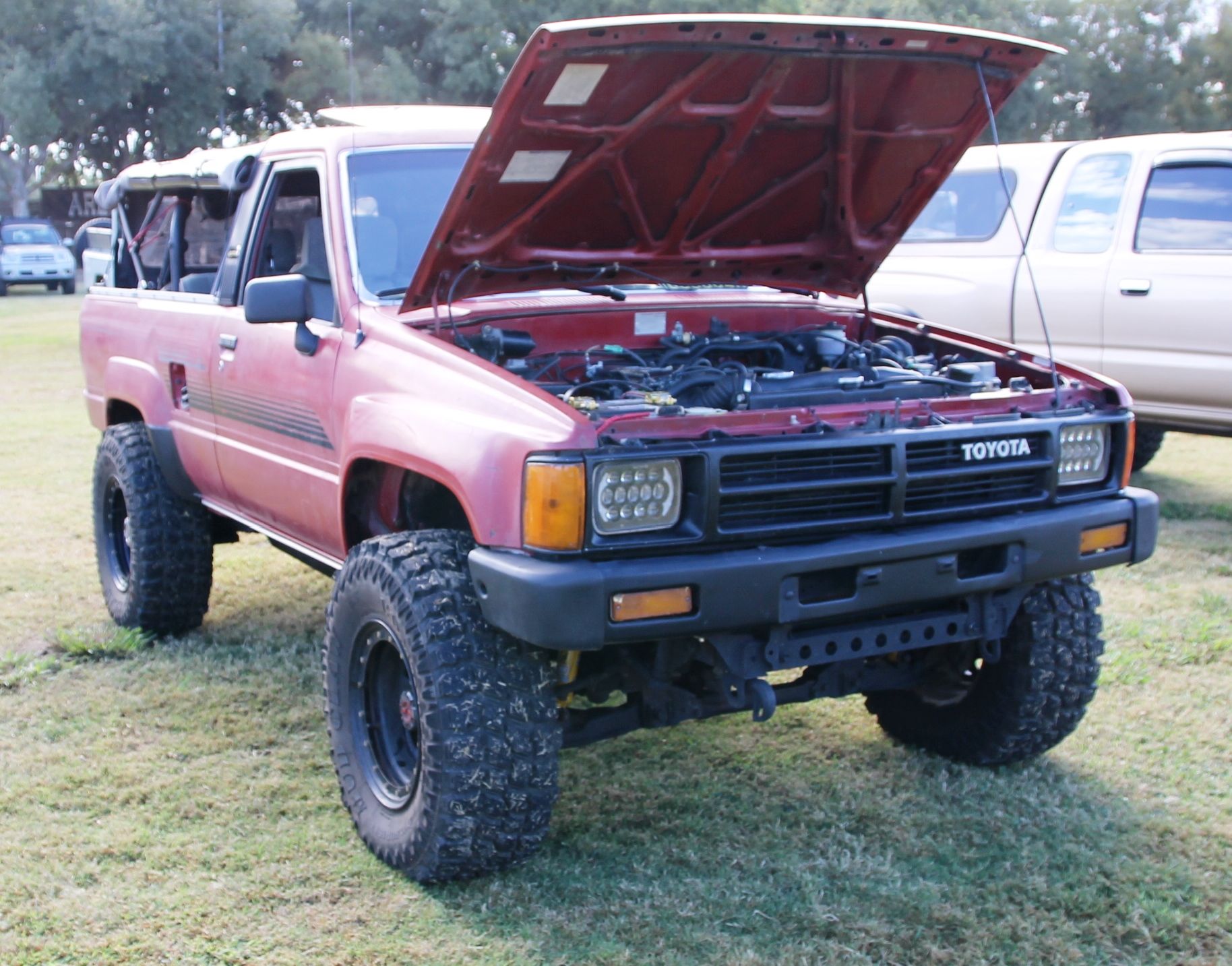 Full View