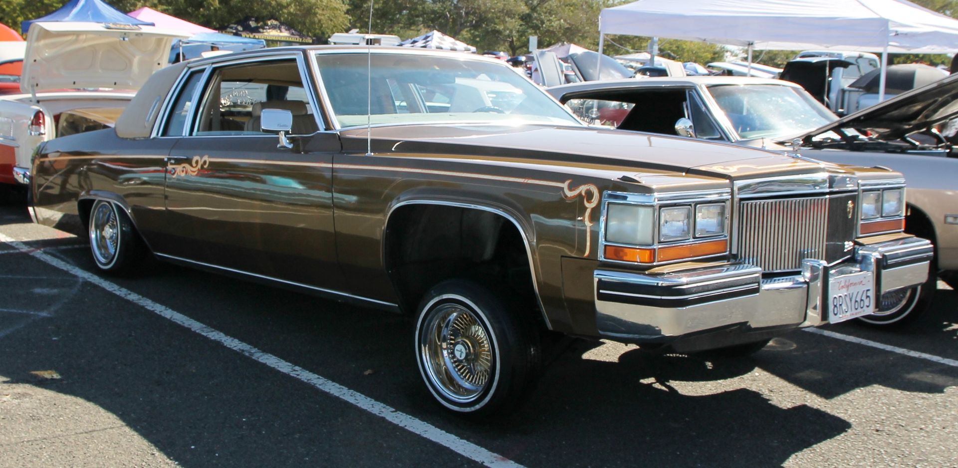 Full View