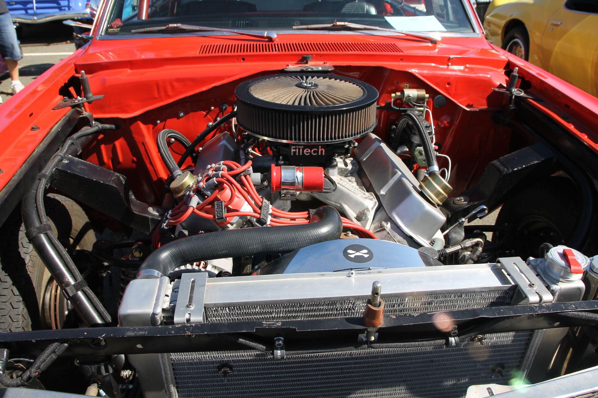 Full View