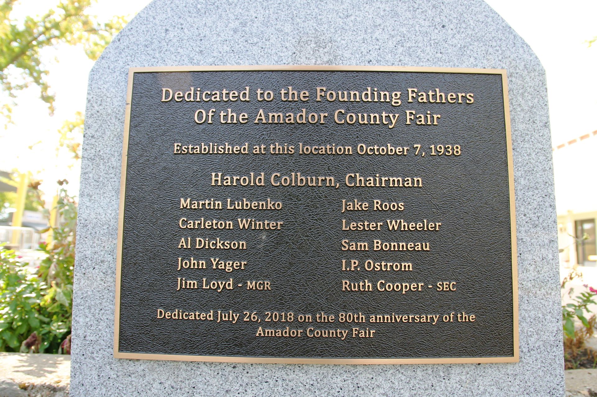 Full View