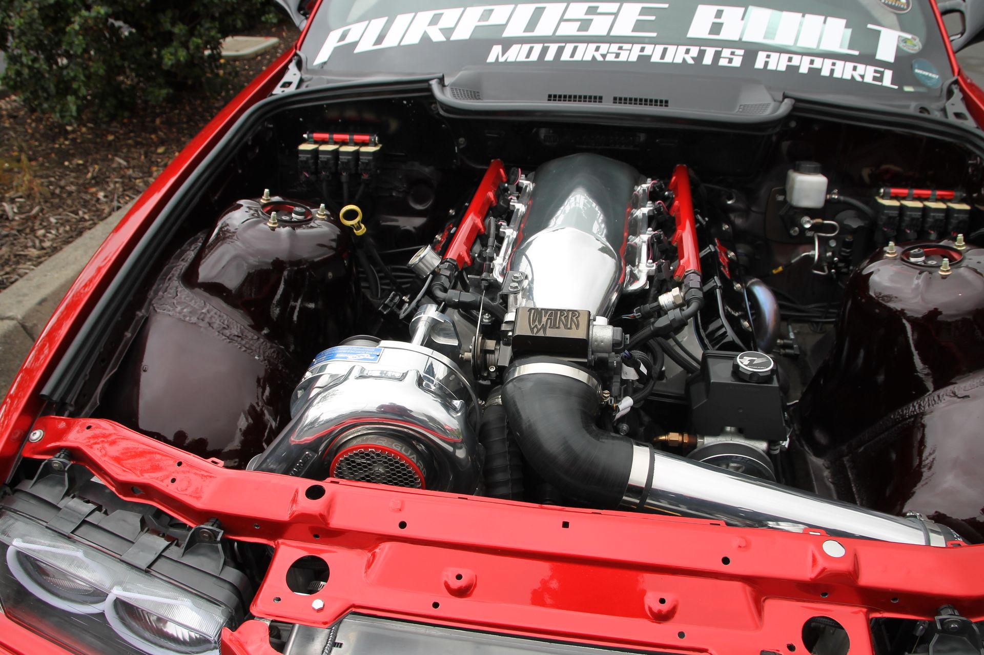 Full View