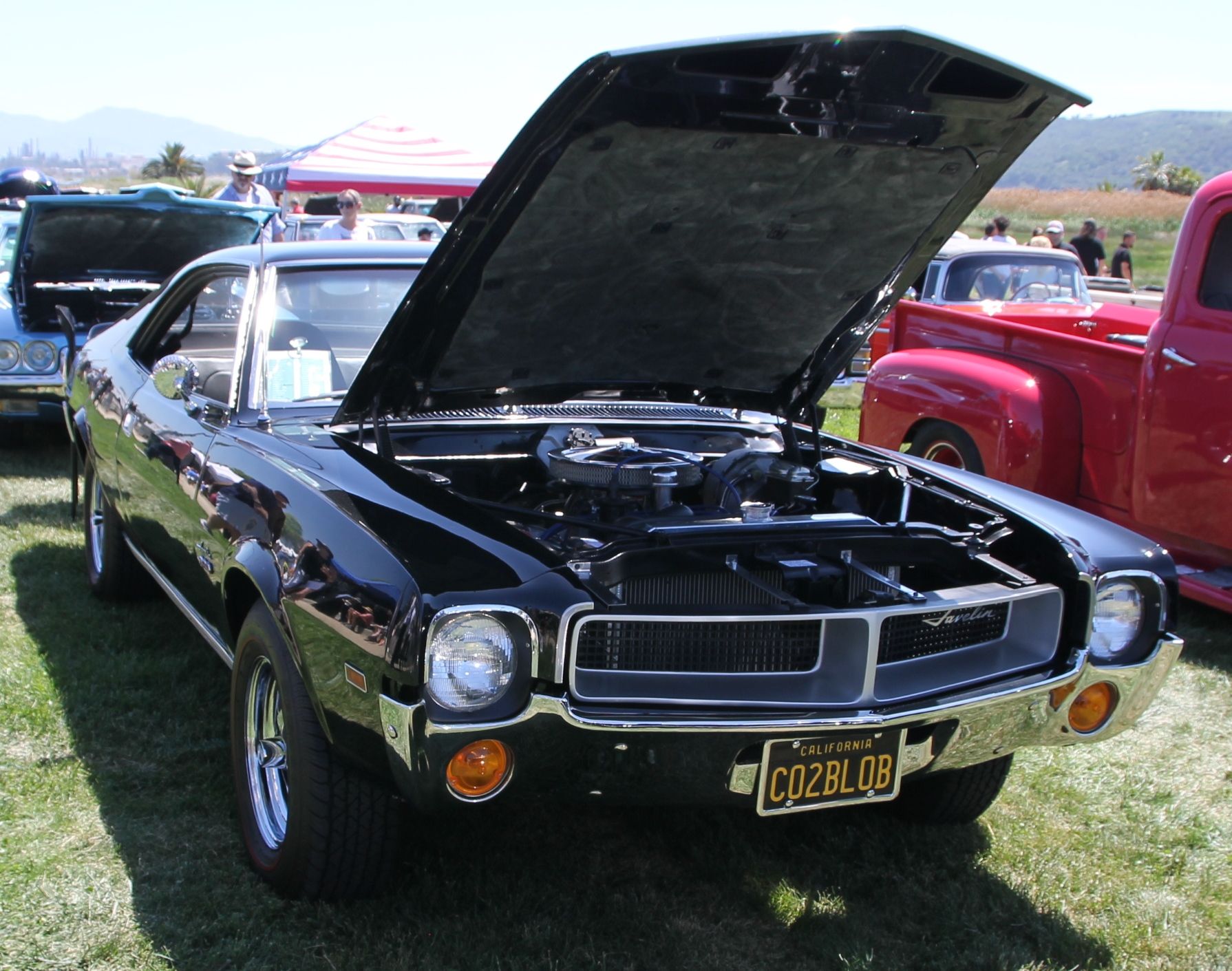 Full View