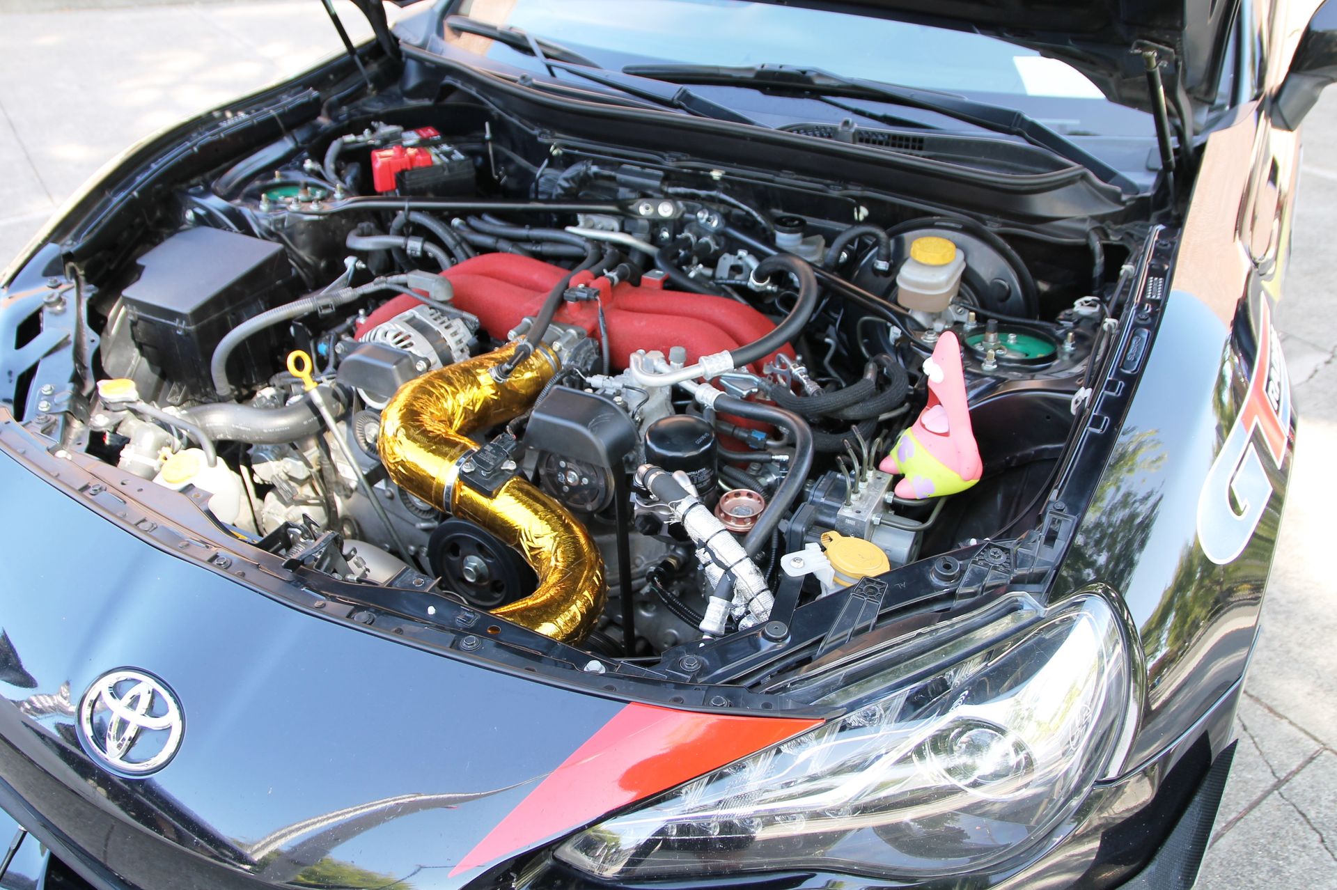Full View