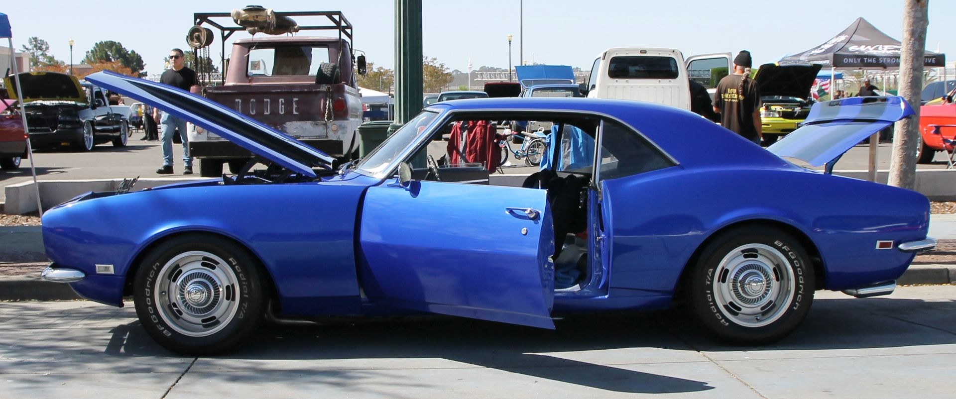 Full View