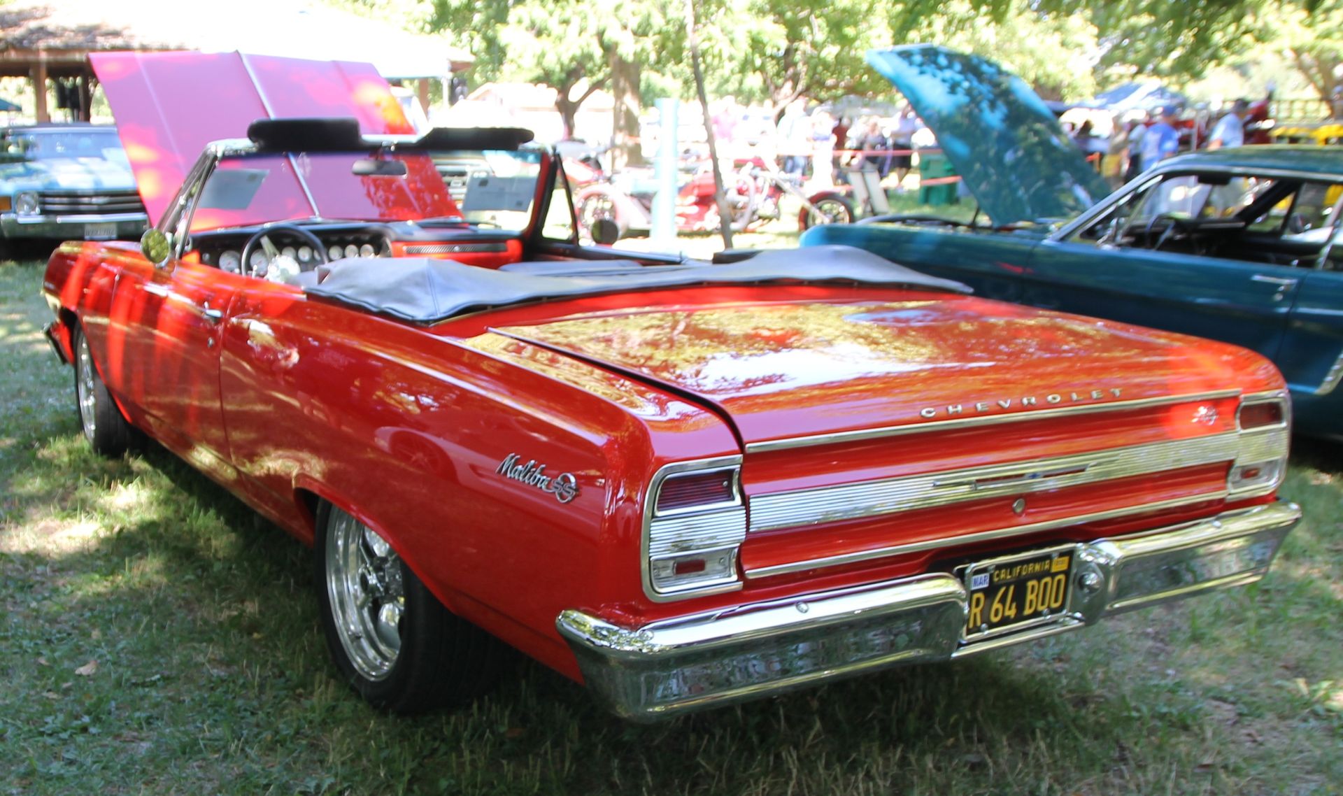 Full View