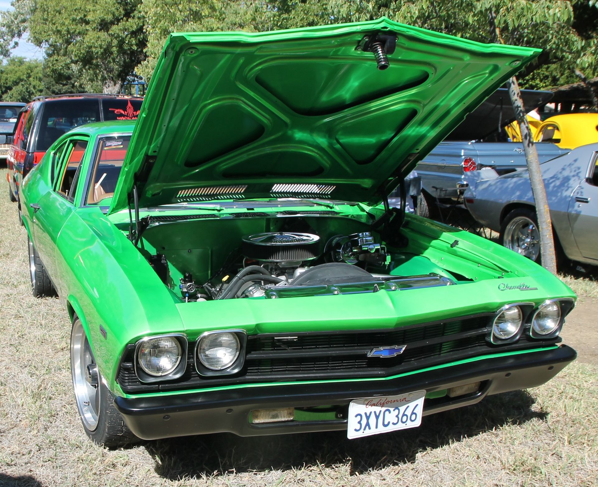 Full View