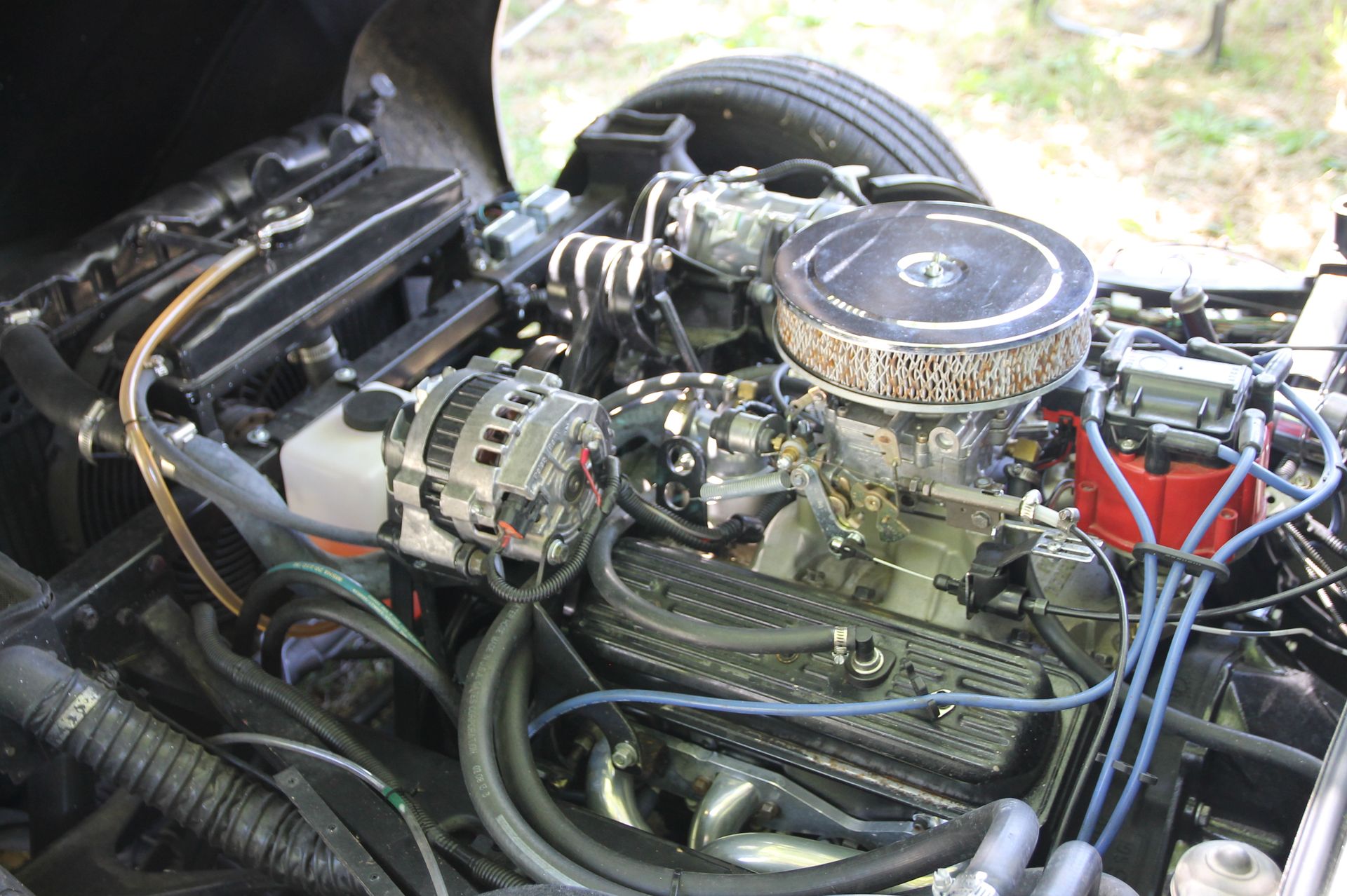 Full View