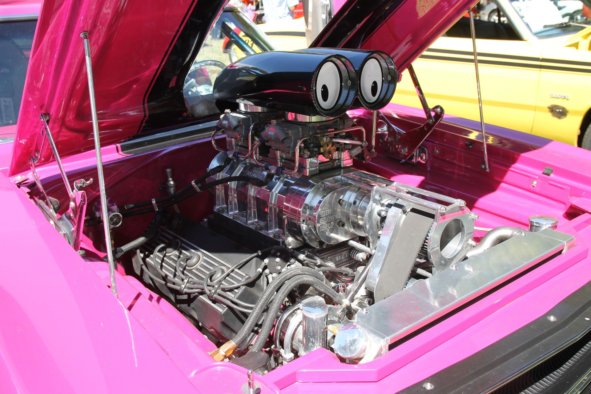 Full View