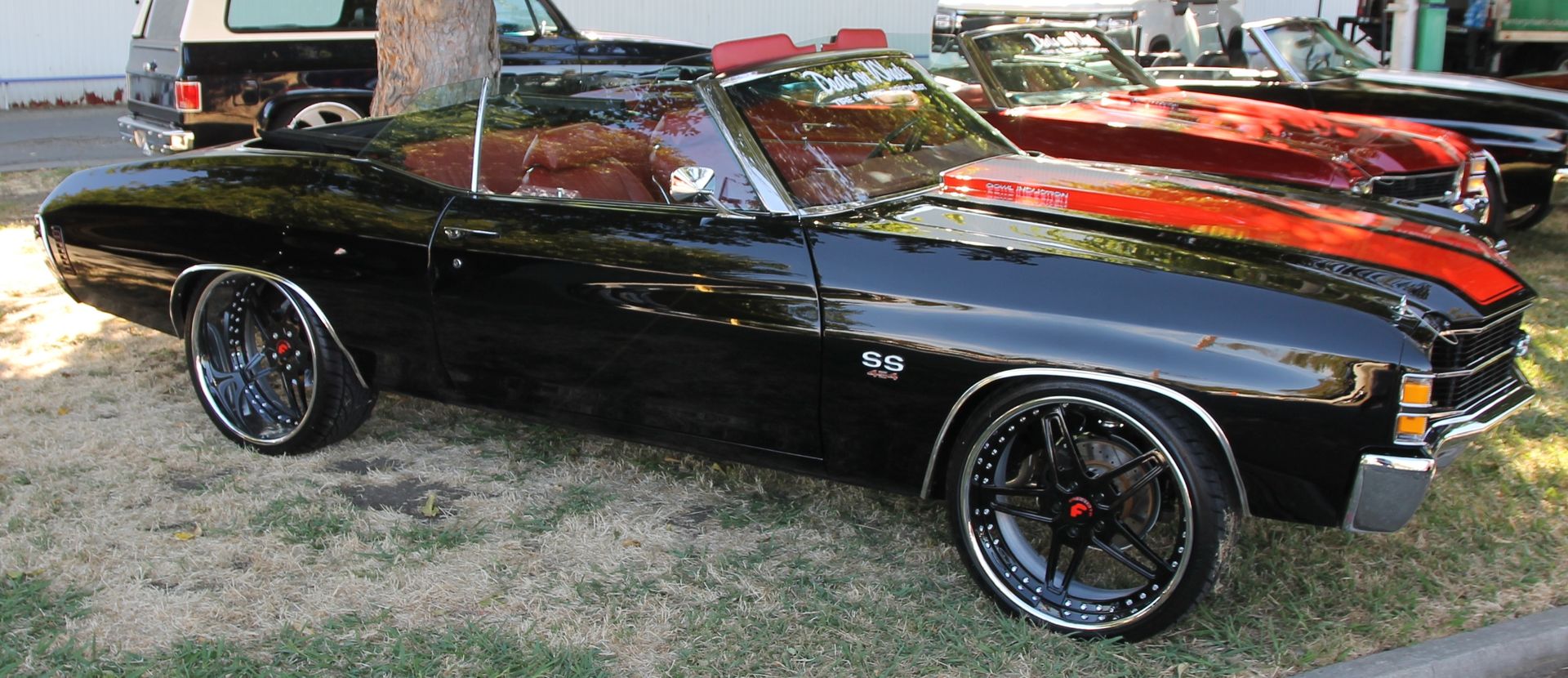 Full View