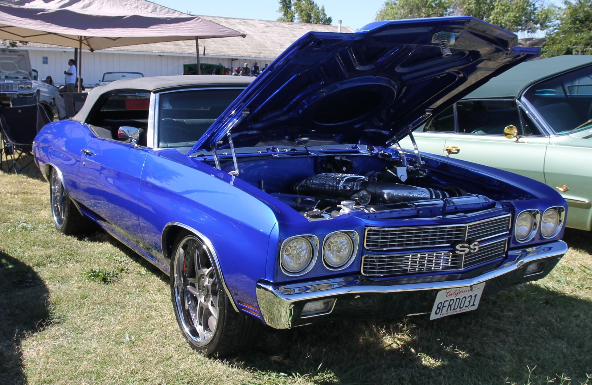 Full View