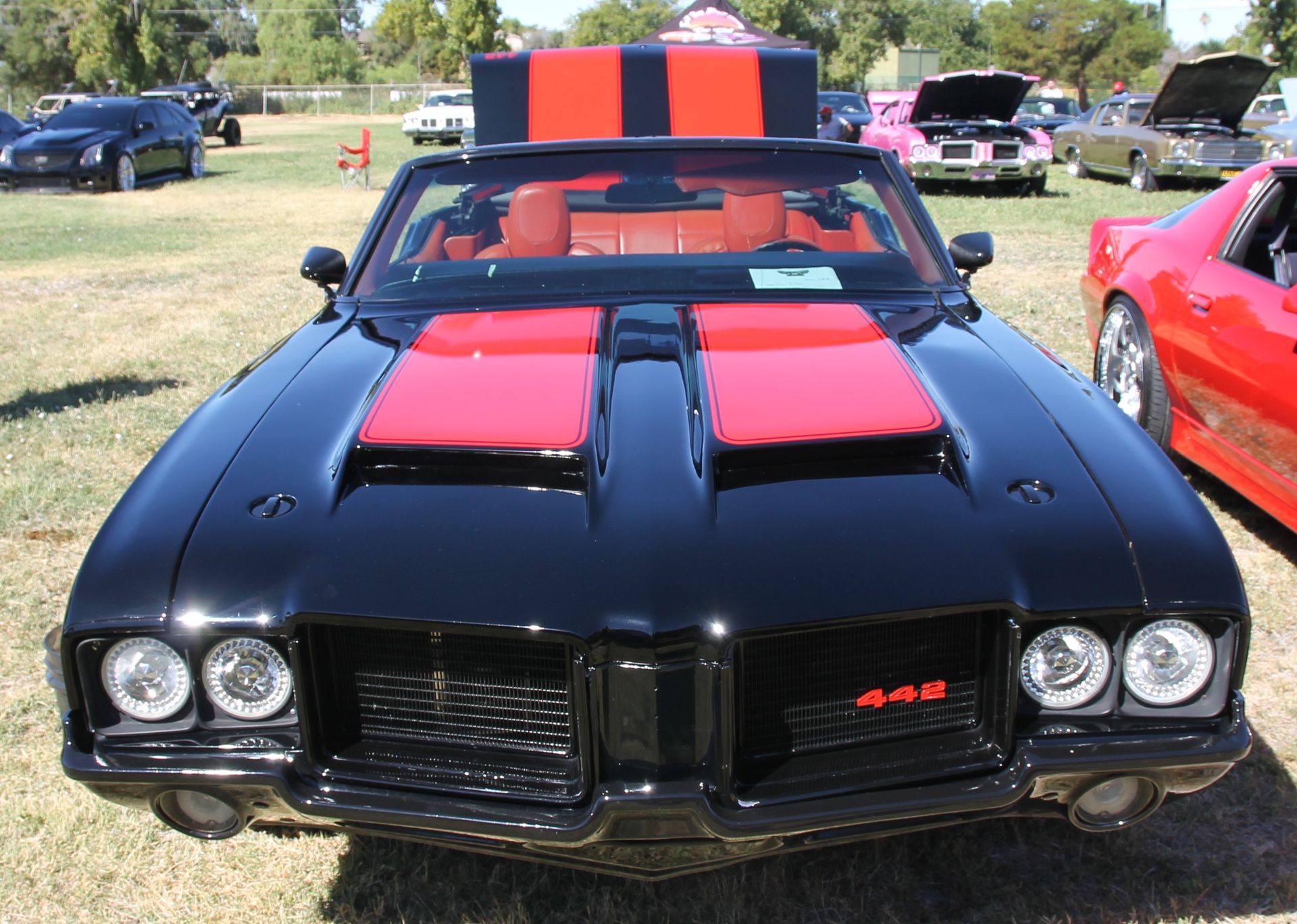 Full View