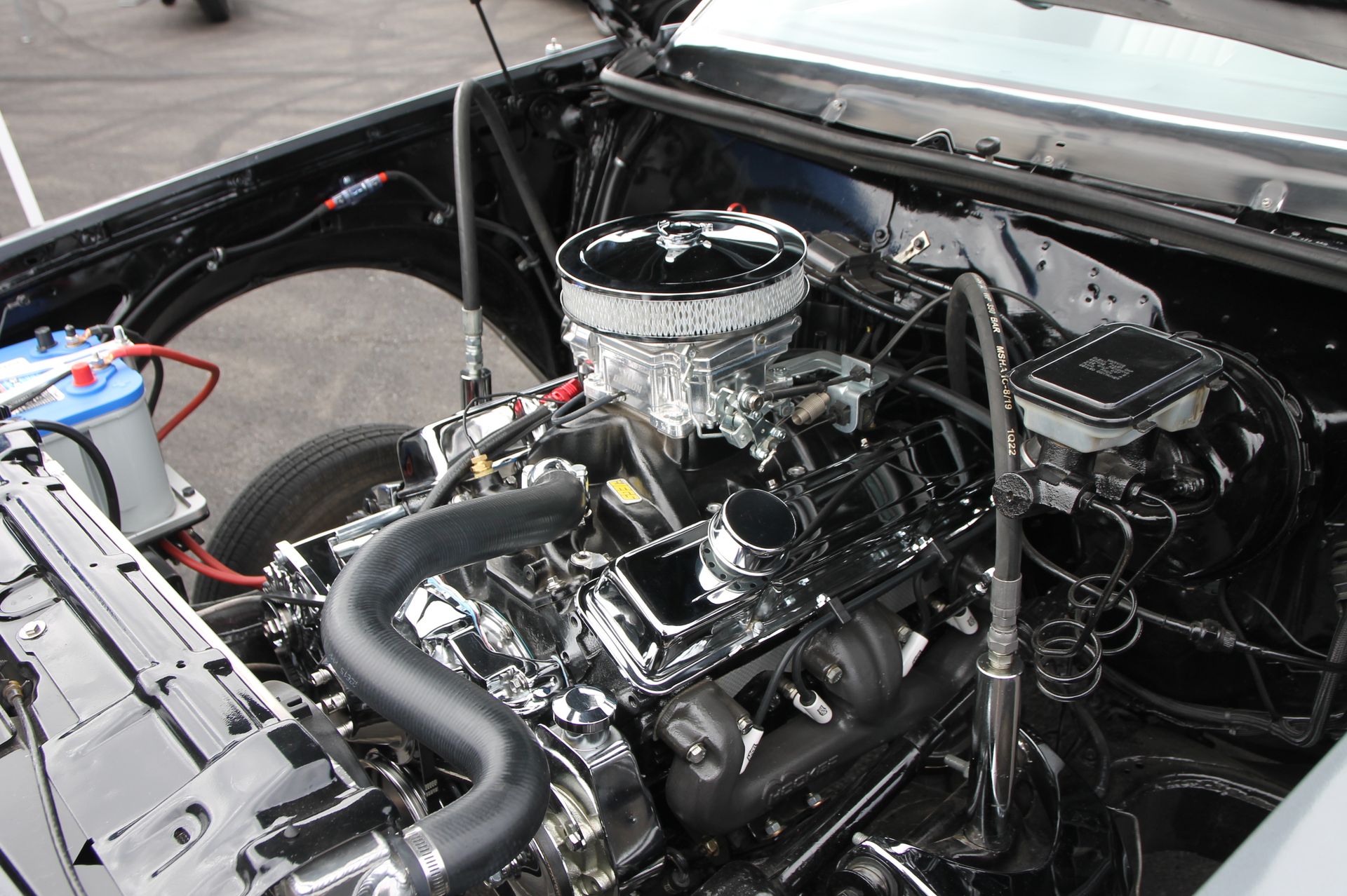 Full View