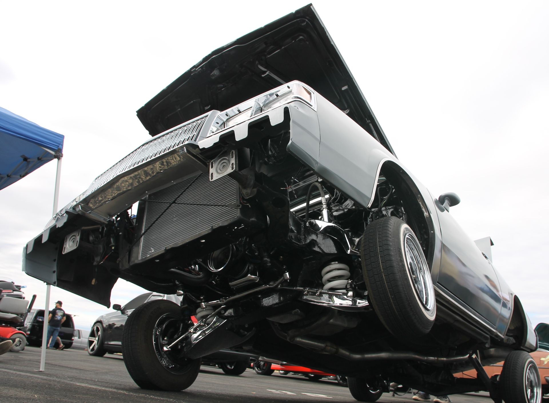 Full View