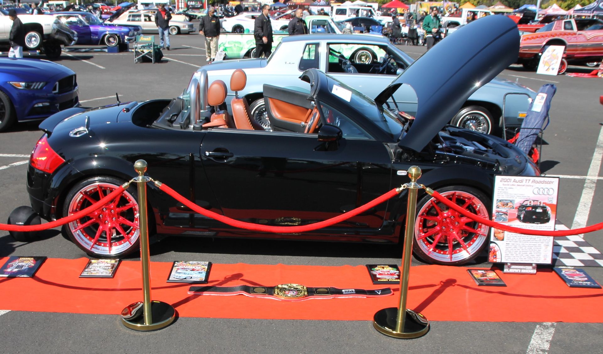 Full View