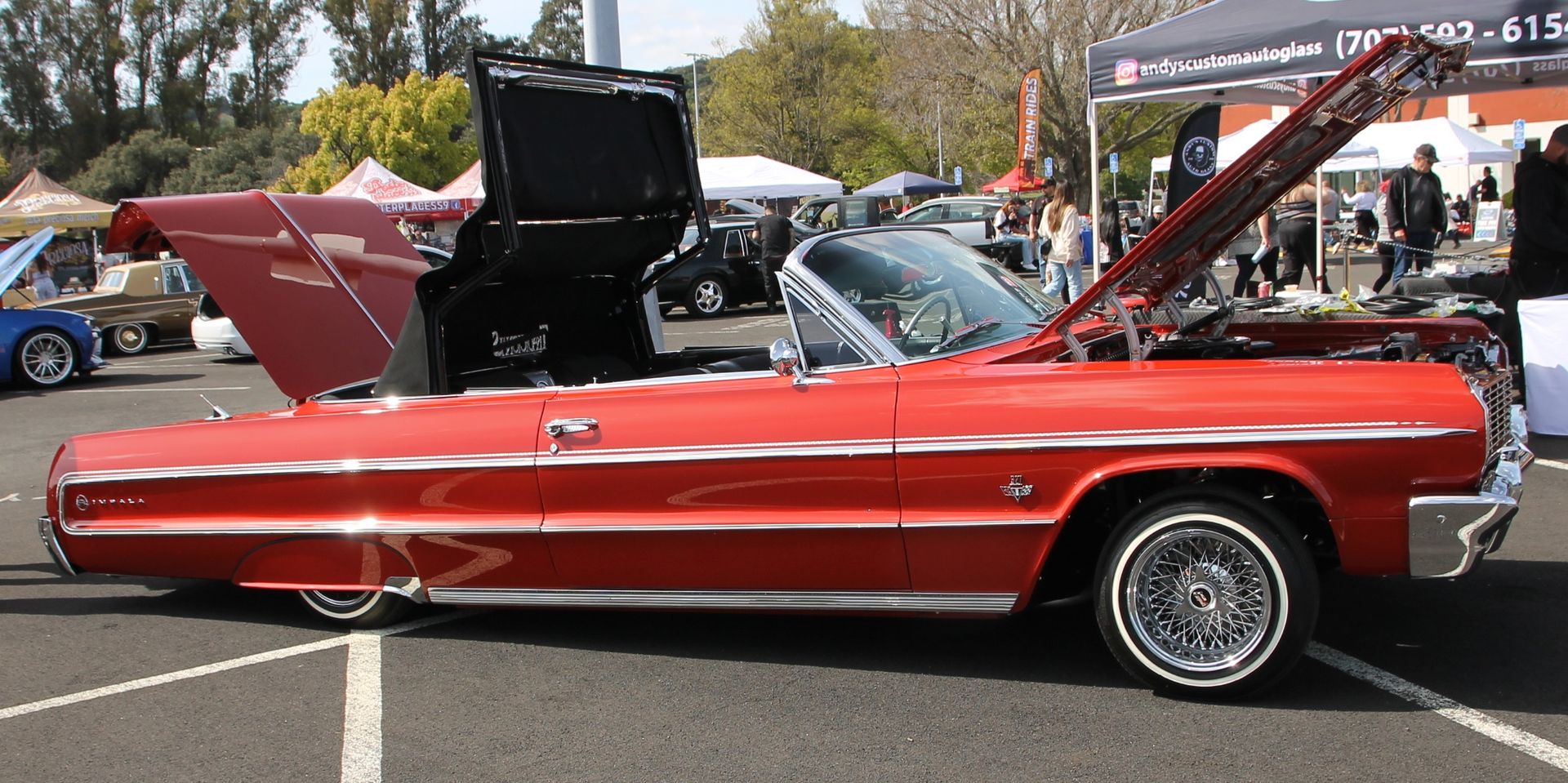 Full View