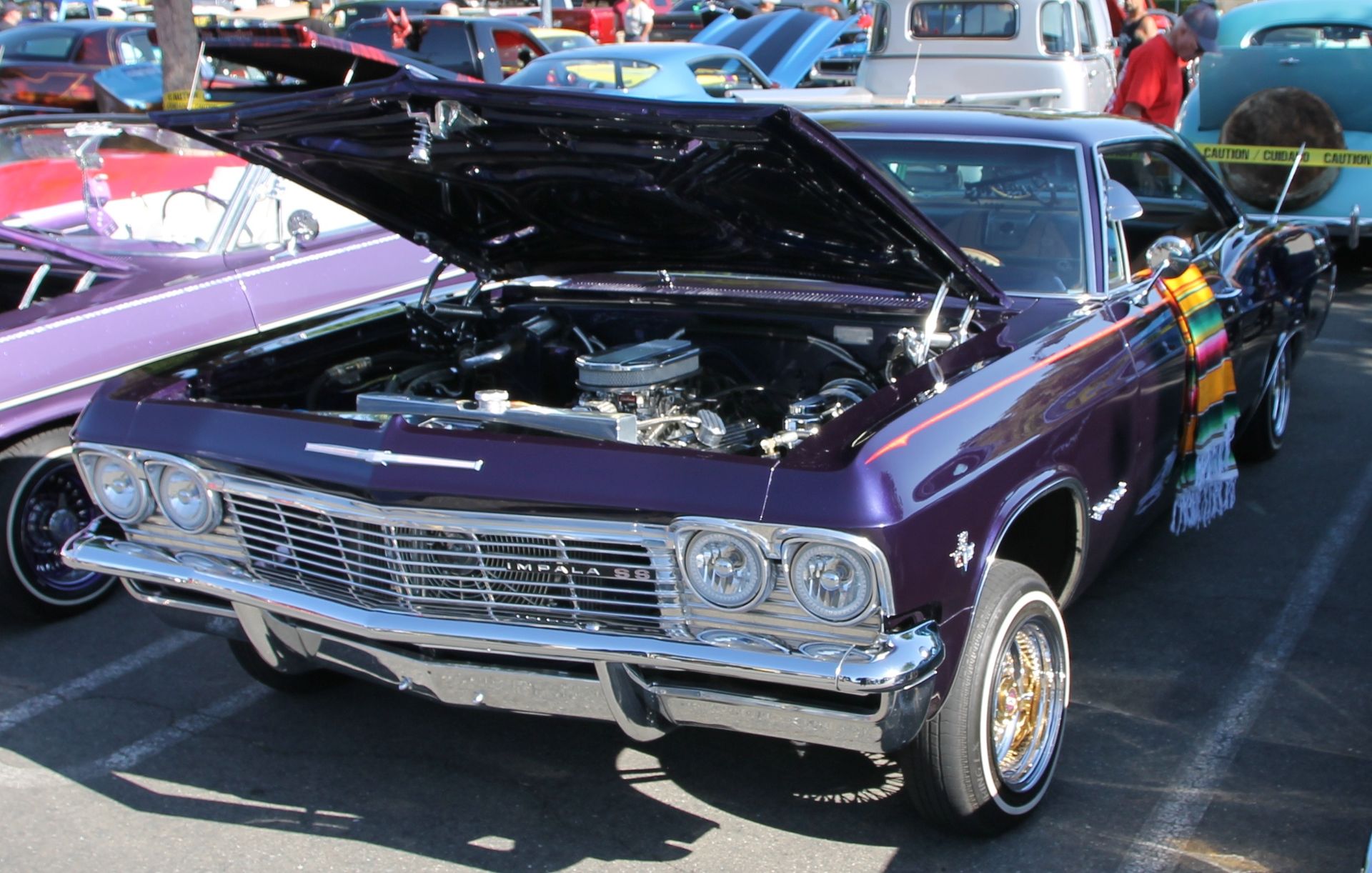 Full View