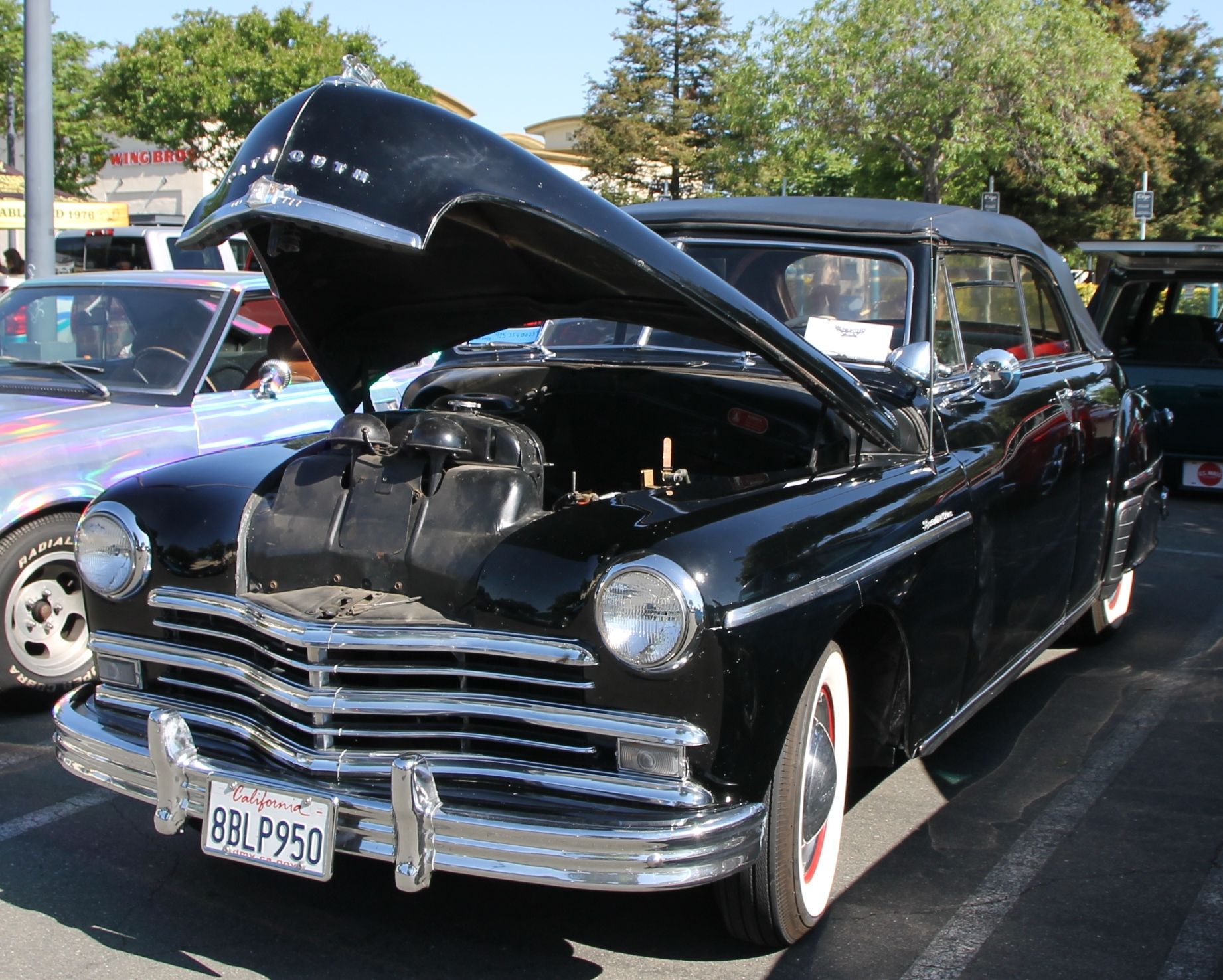 Full View