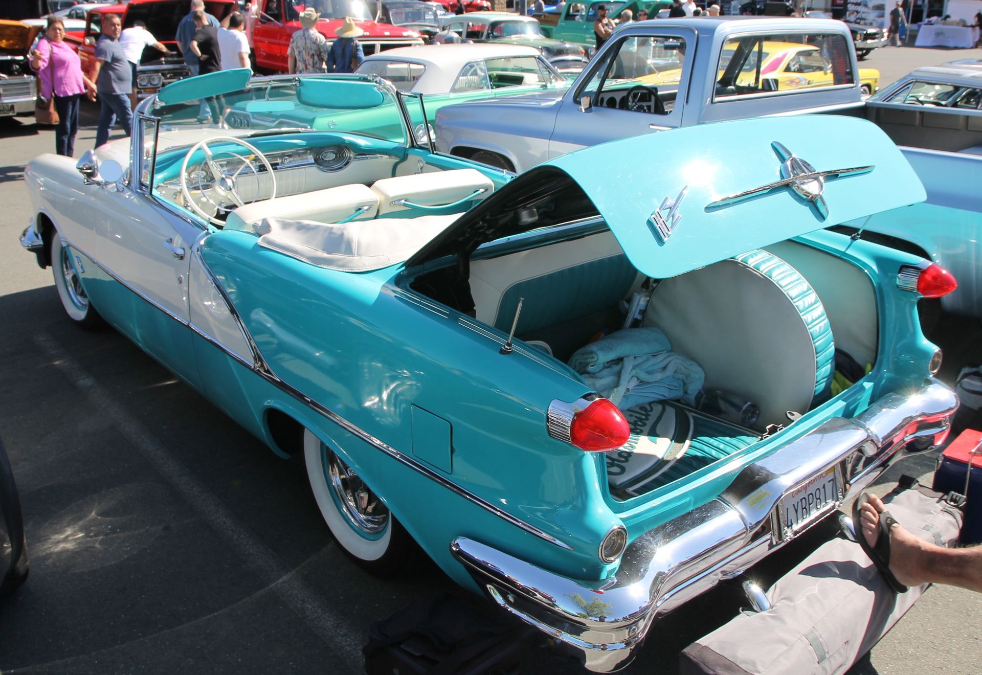 Full View