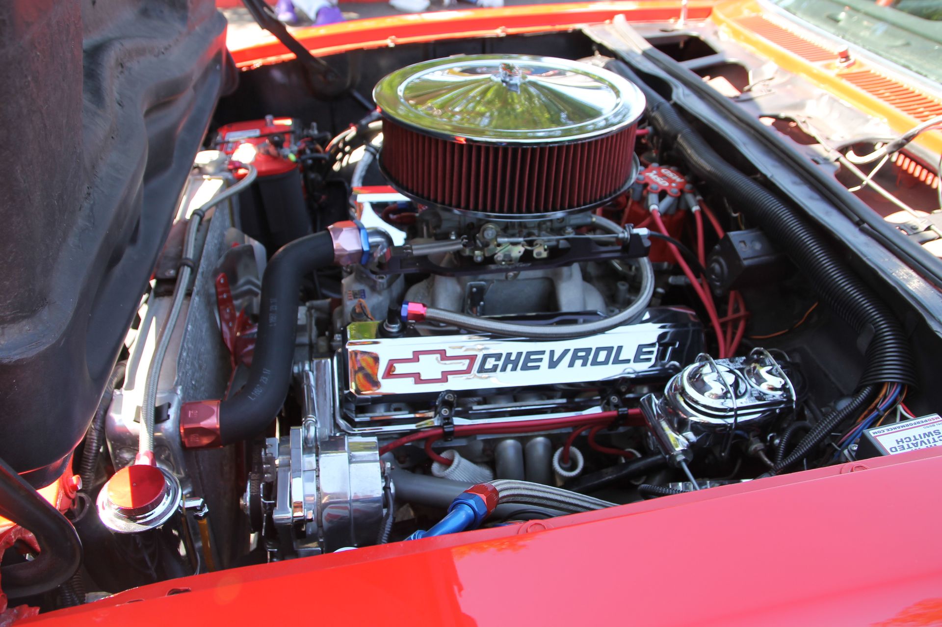 Full View