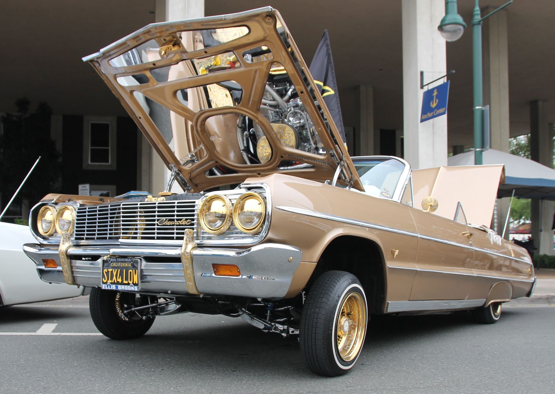 Full View