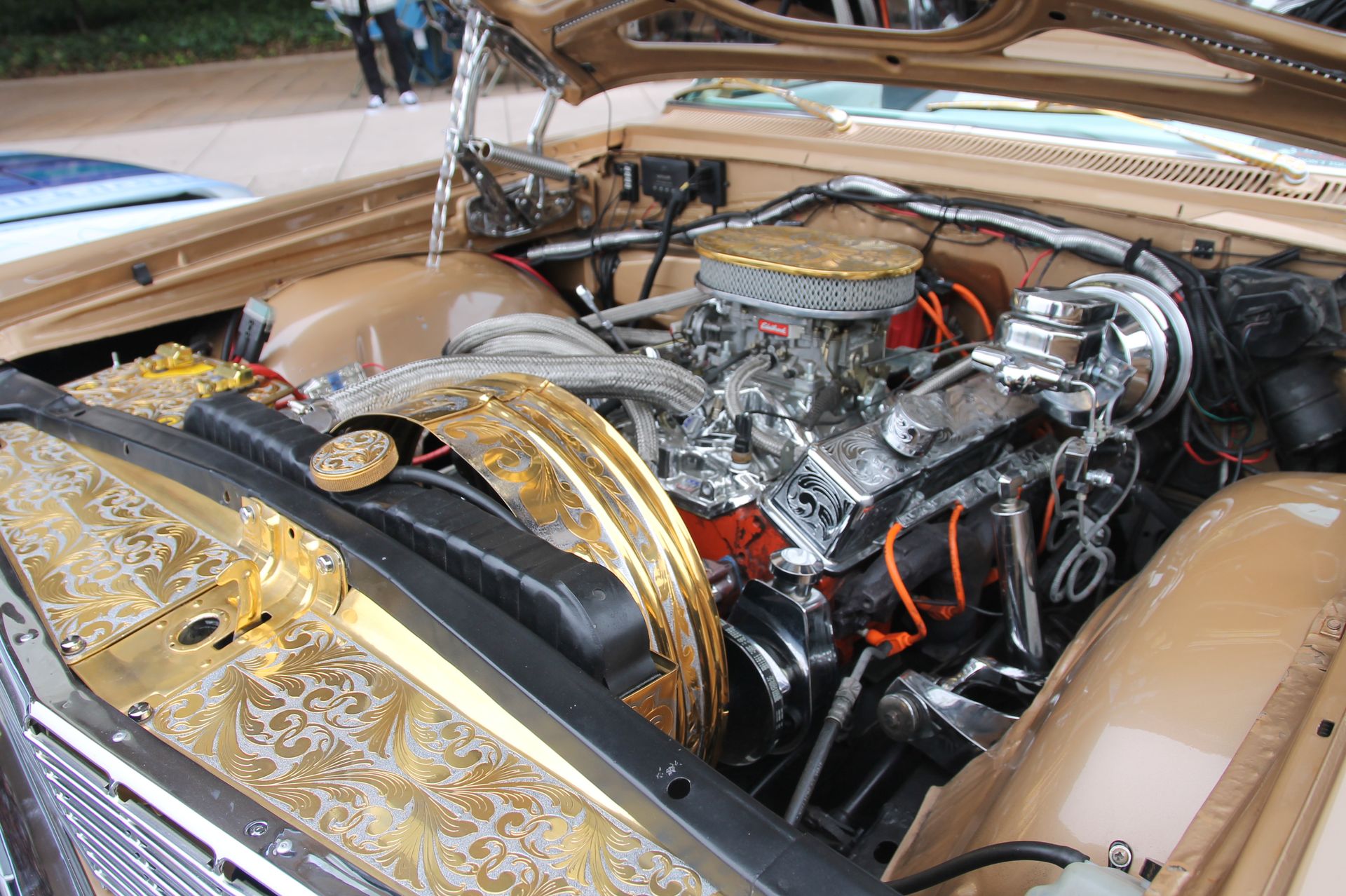 Full View