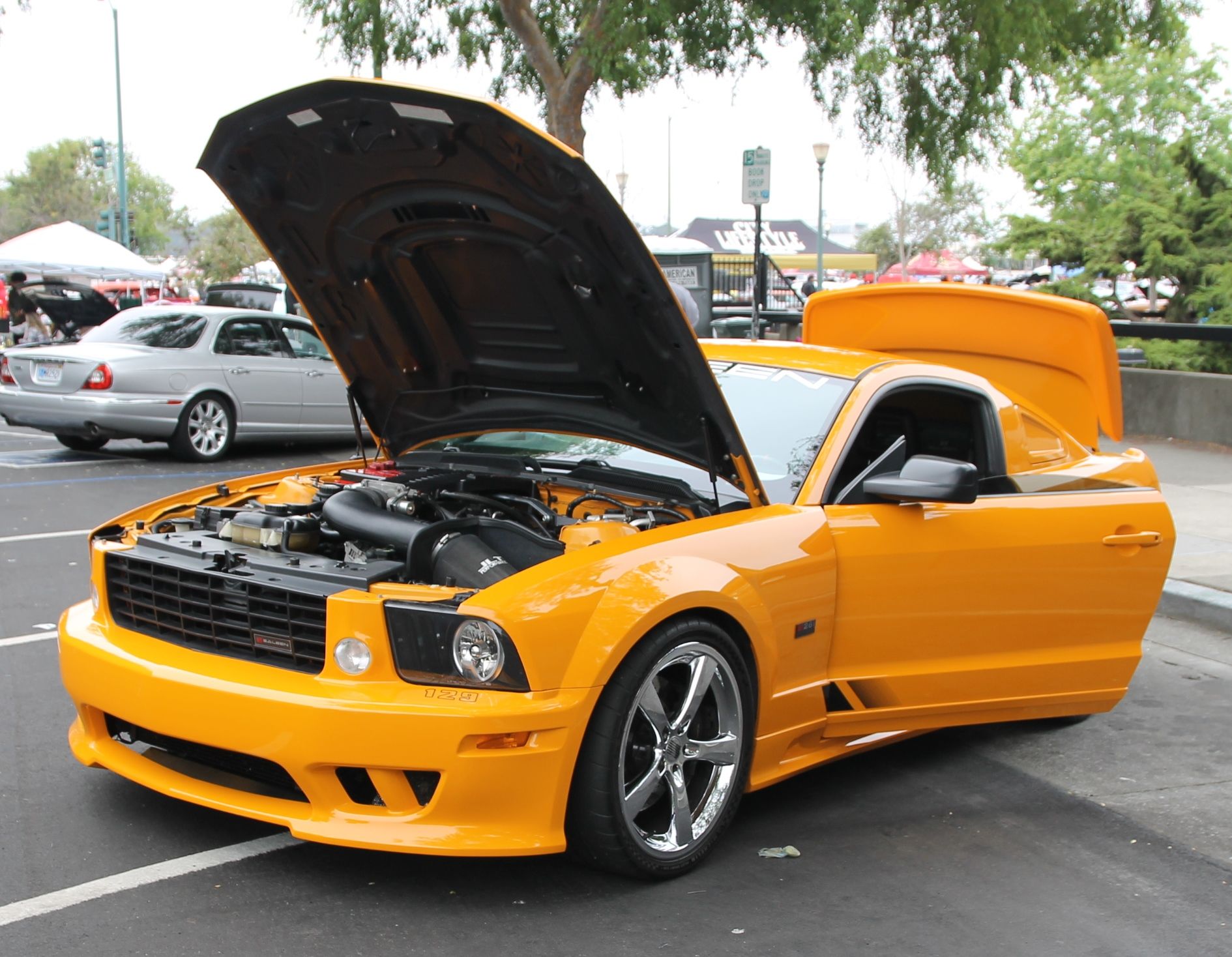 Full View