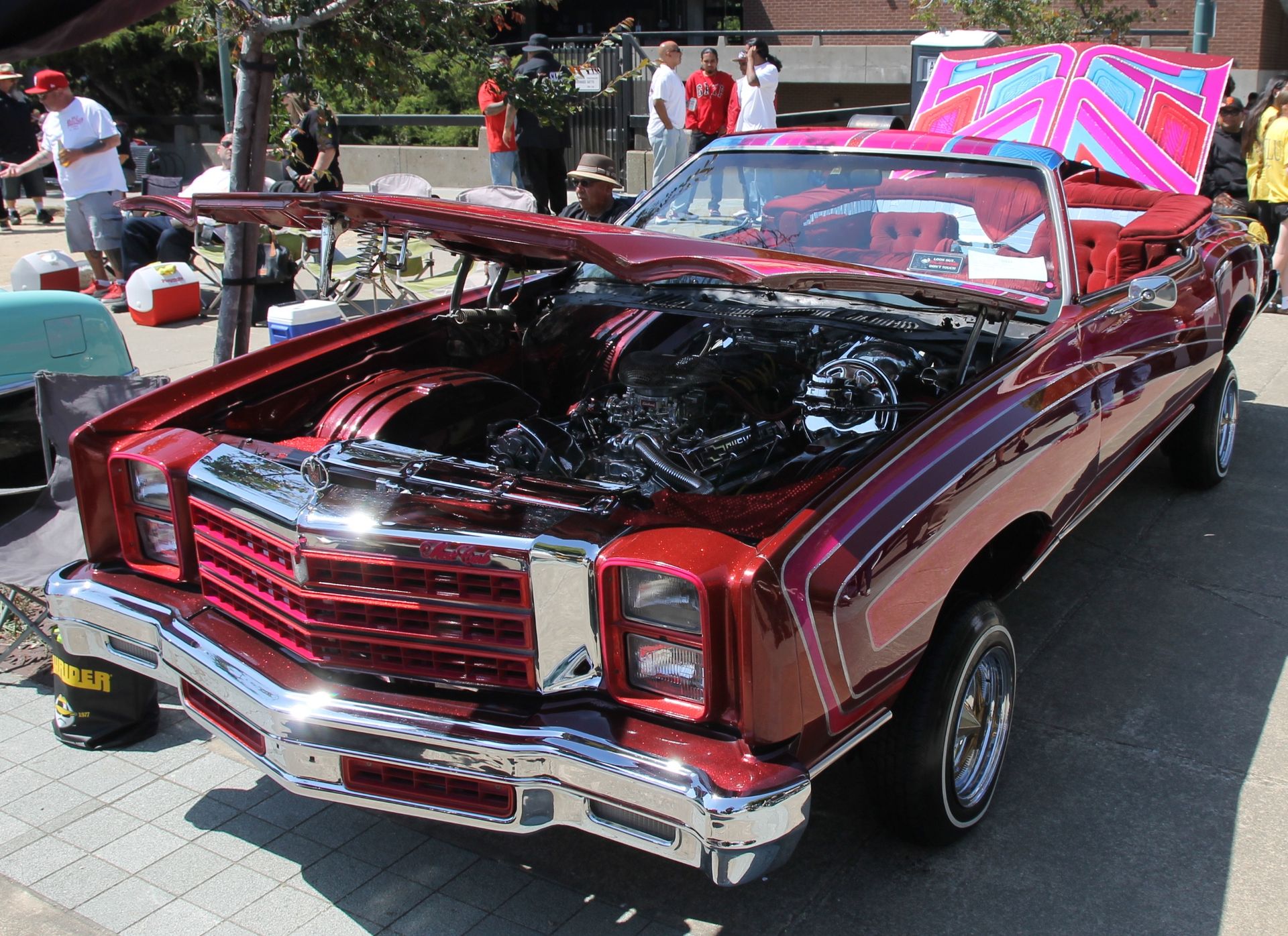 Full View