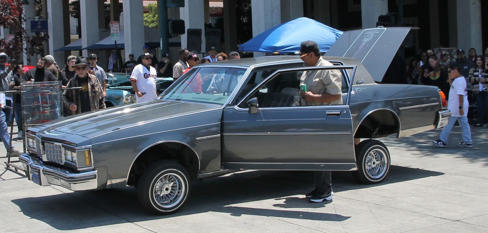Full View