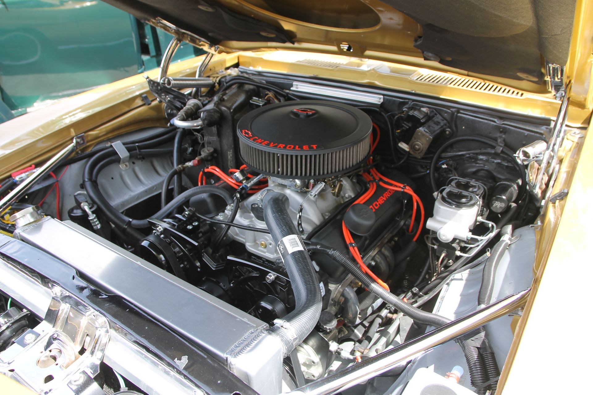 Full View
