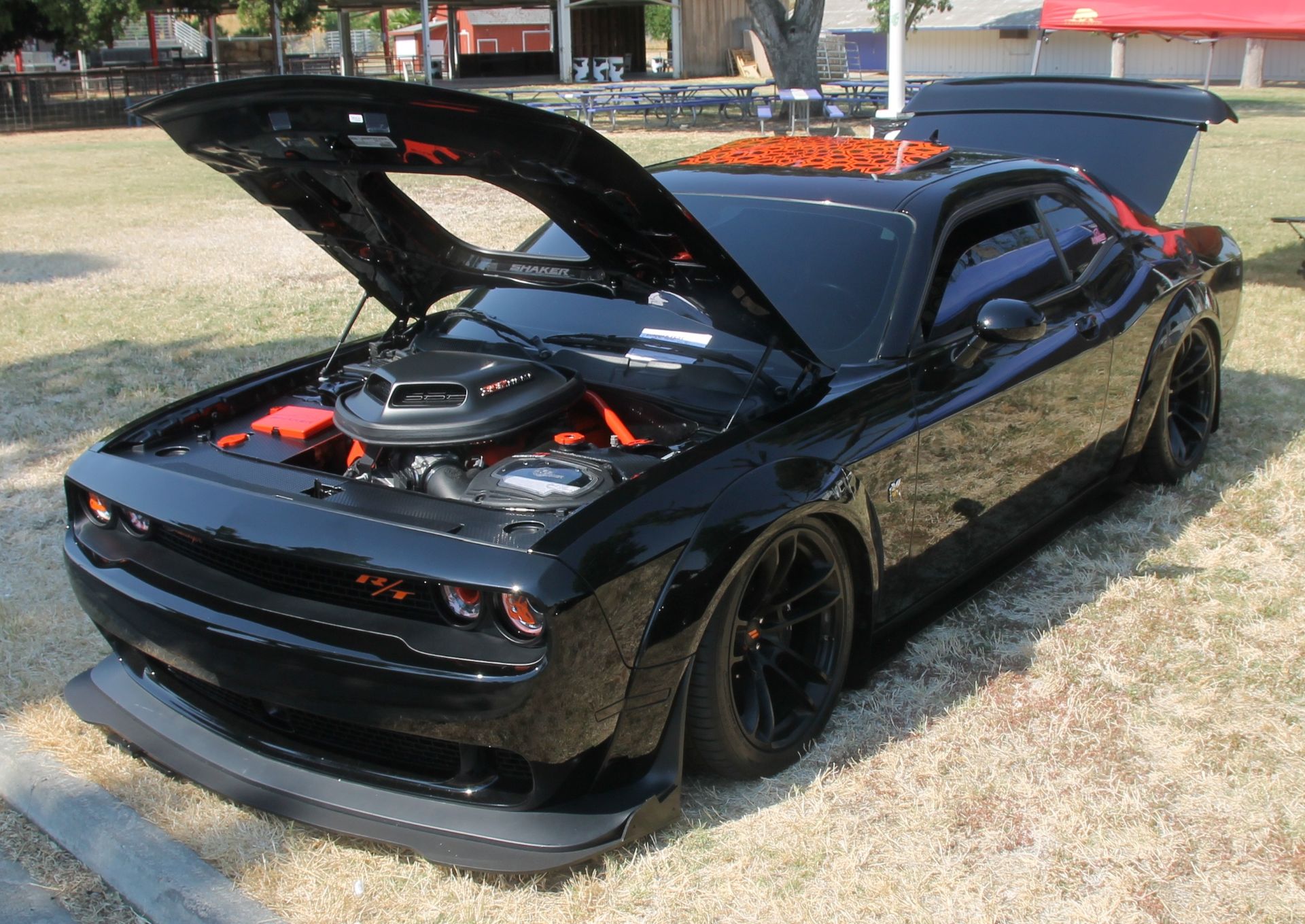 Full View