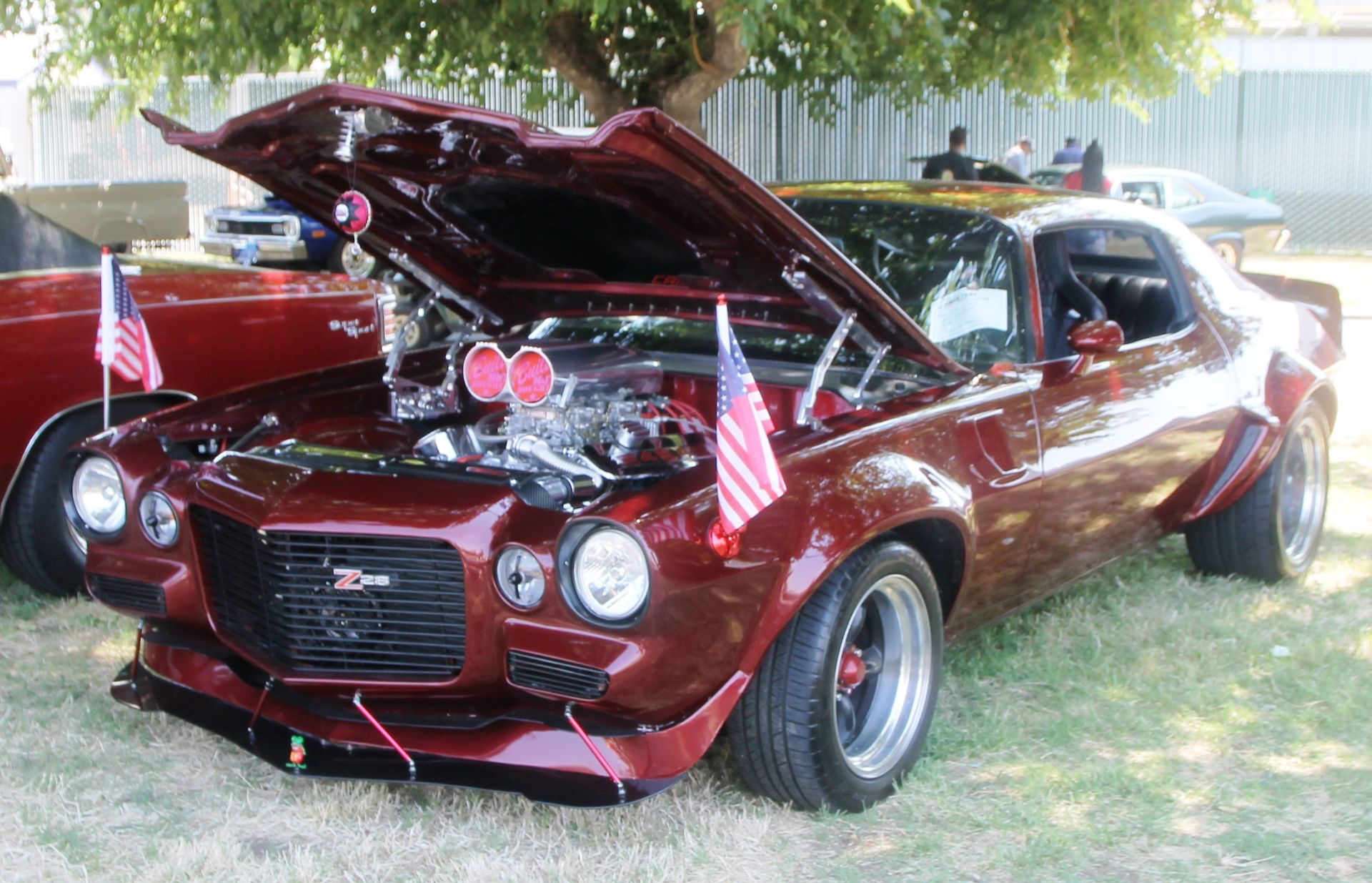 Full View