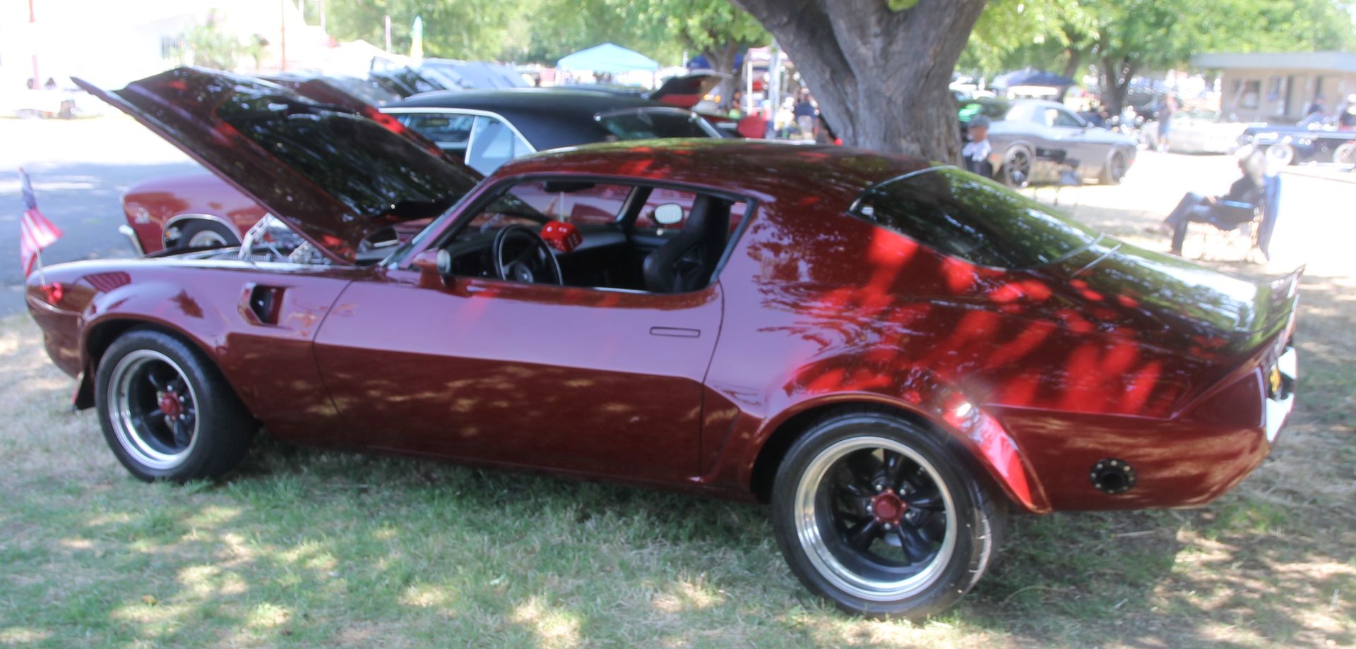 Full View