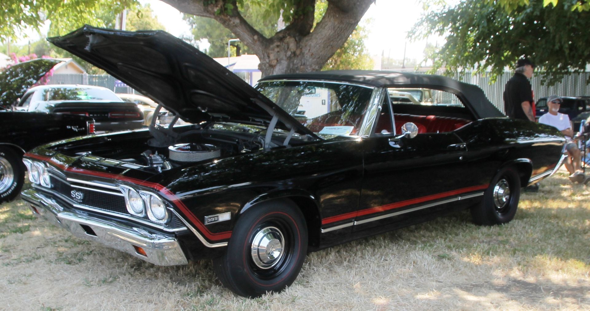 Full View