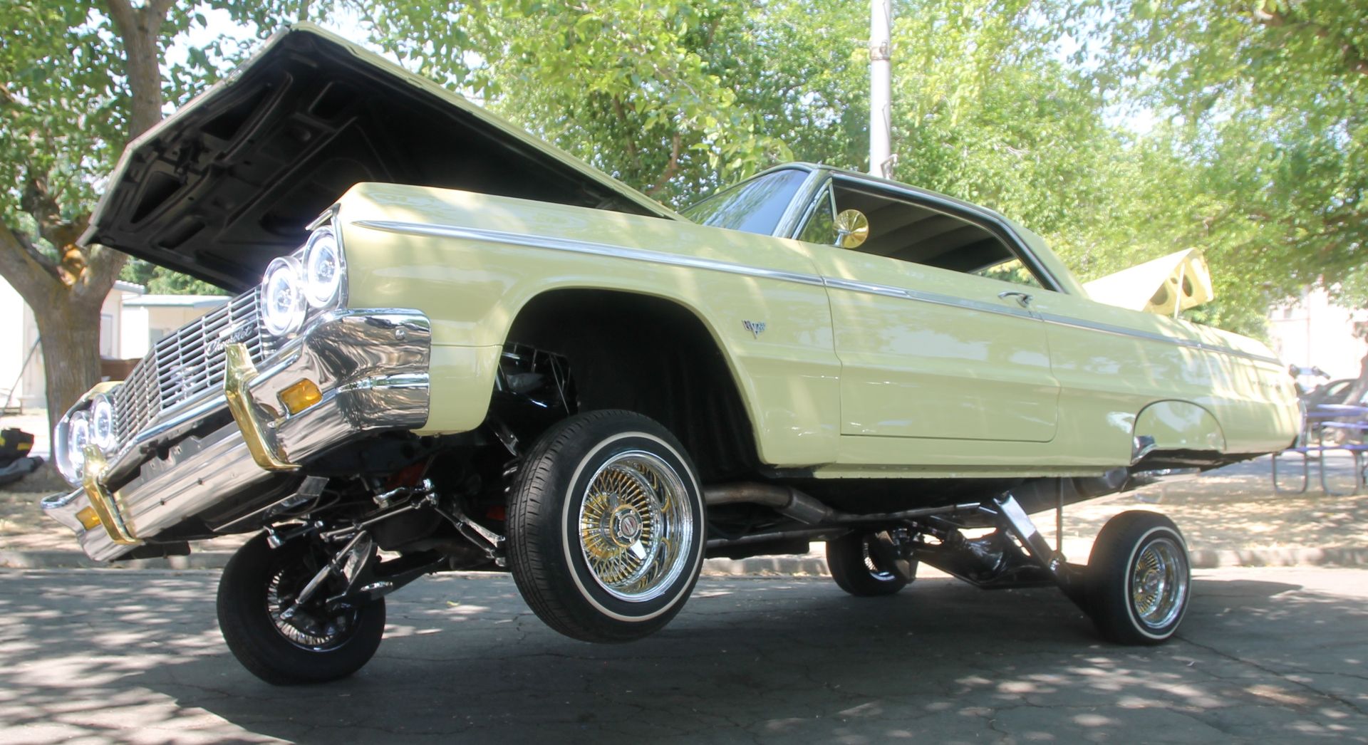 Full View