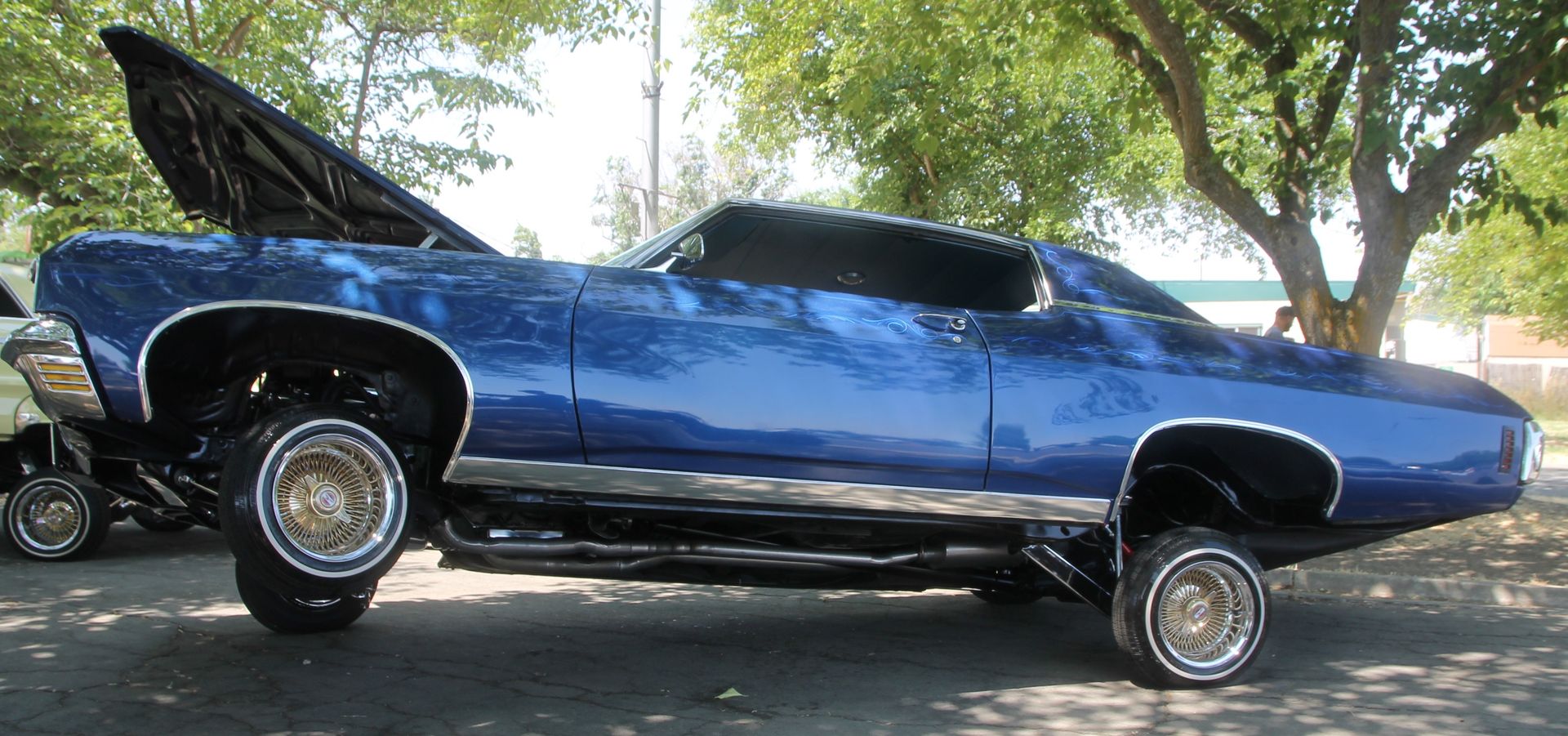 Full View